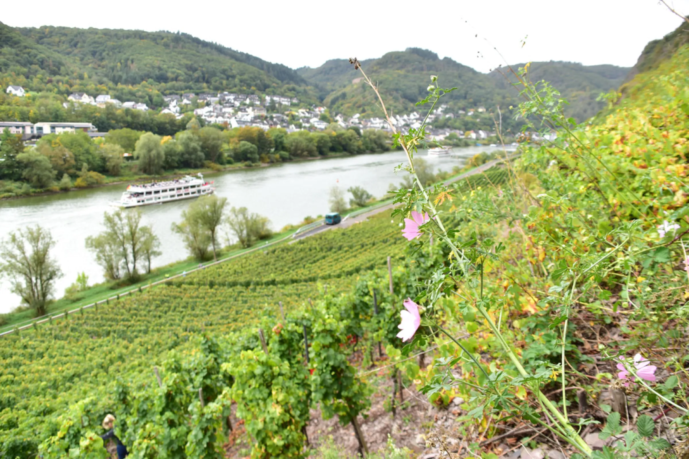 Moselle River