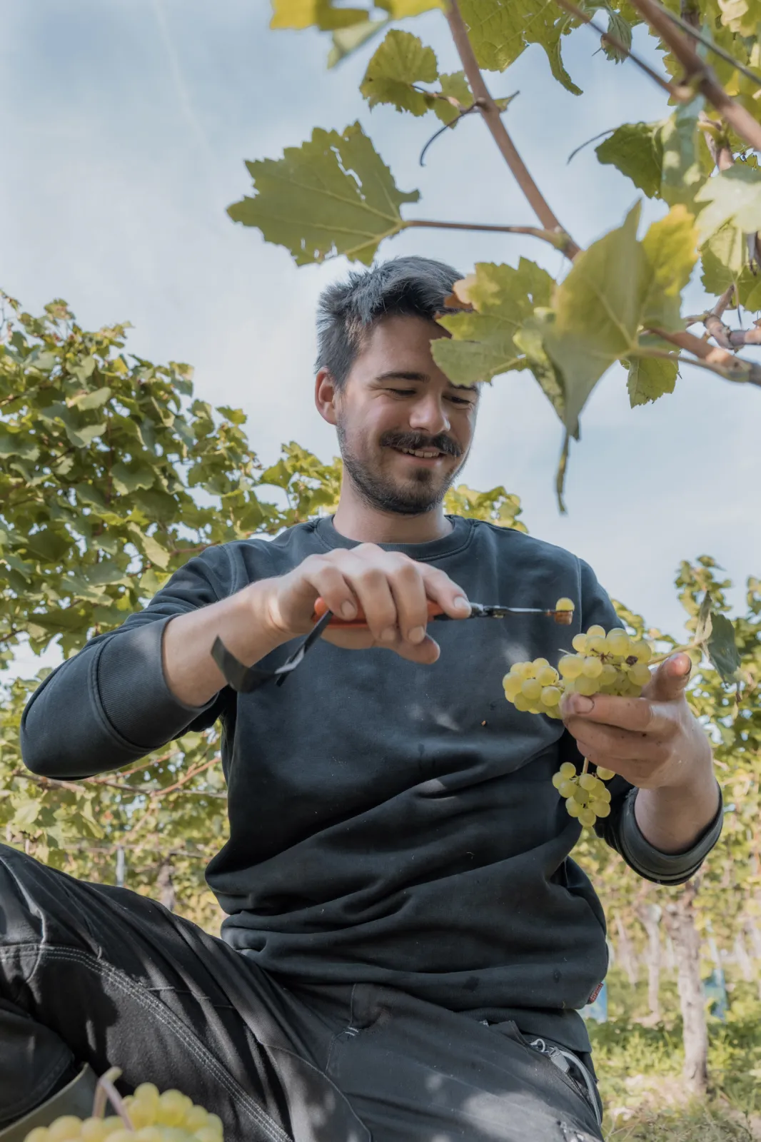 Before joining the family winery, Johannes studied Viticulture and Oenology at the University of Geisenheim, which included a stay abroad in South Africa. Prior to this, he completed his training as a winemaker at the Rings Winery (Pfalz), Philipp Kuhn (Pfalz), and Matthias Knebel (Mosel).