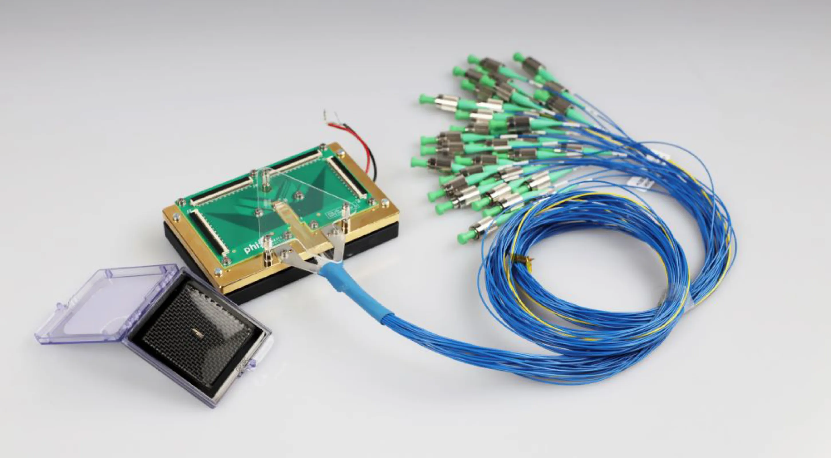 PICs for Neuromorphic Computing PICs for Neuromorphic Computing