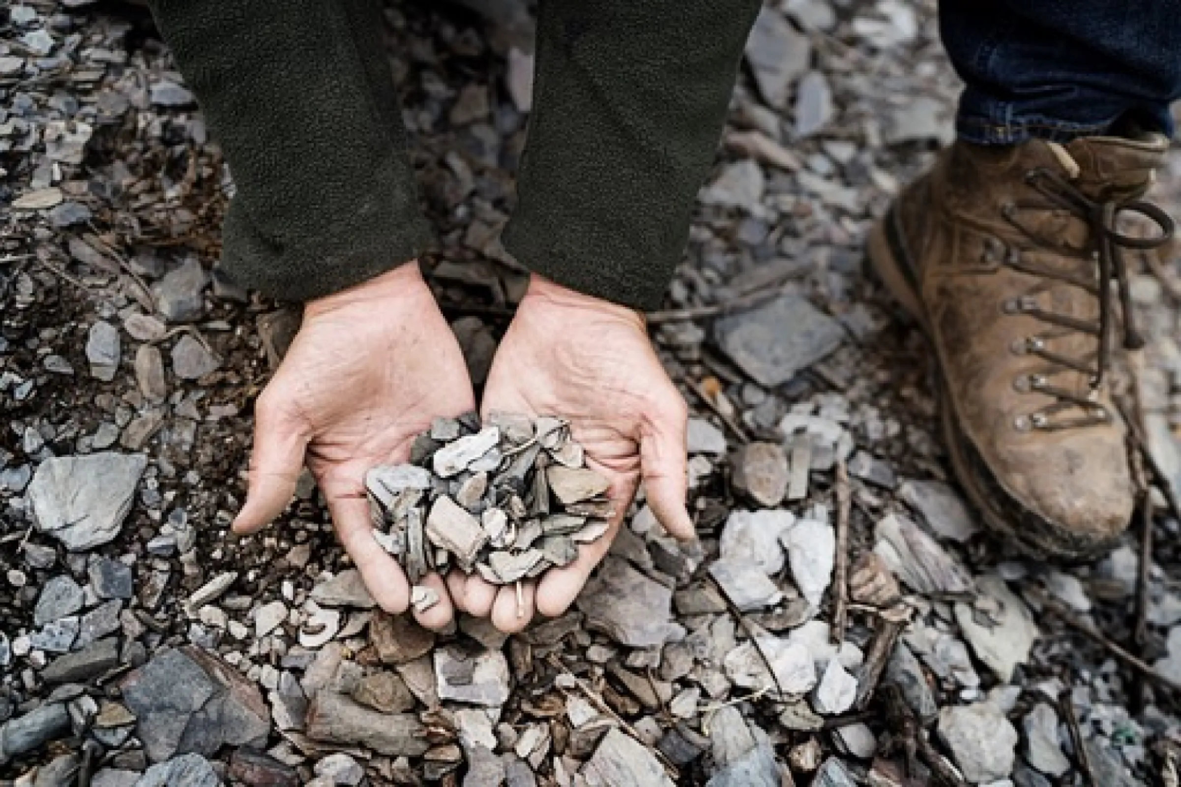 Blue devonian slate, Laurentiuslay