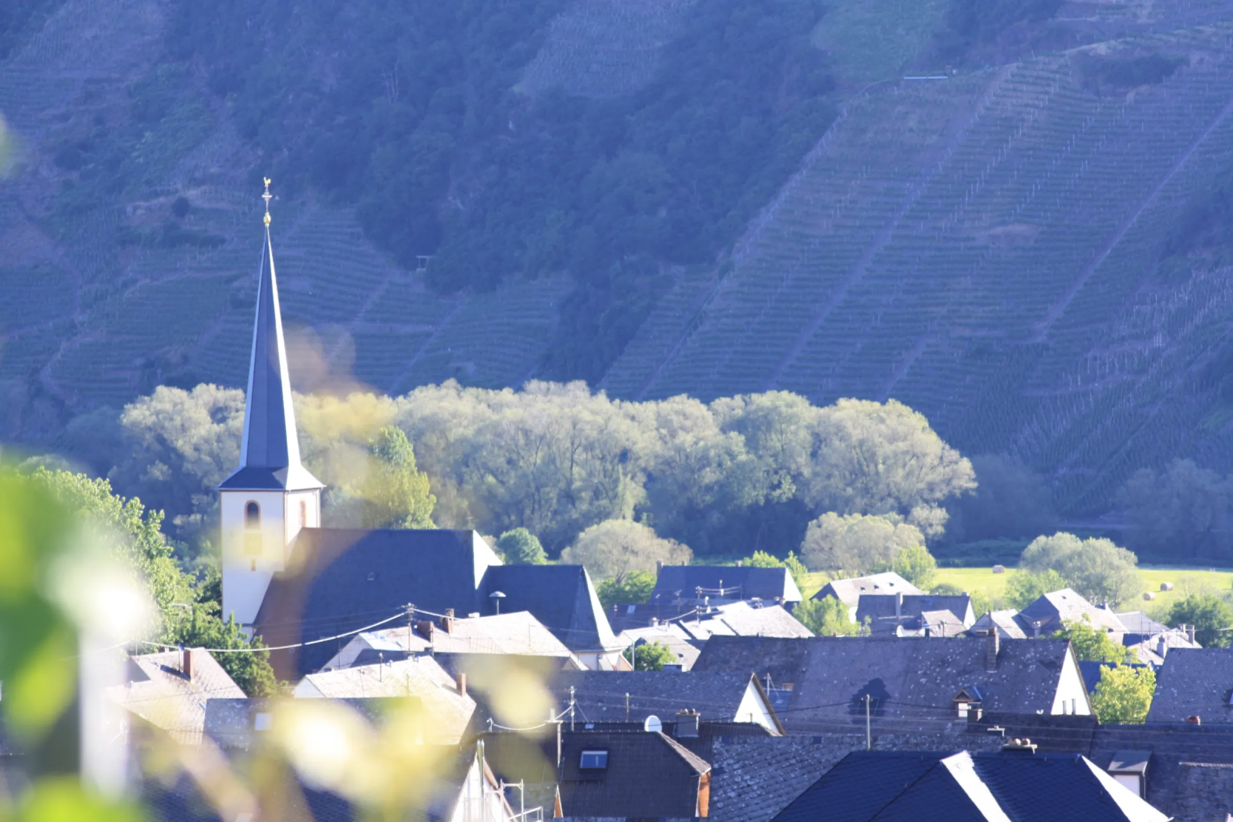 Leiwen, Laurentiuslay