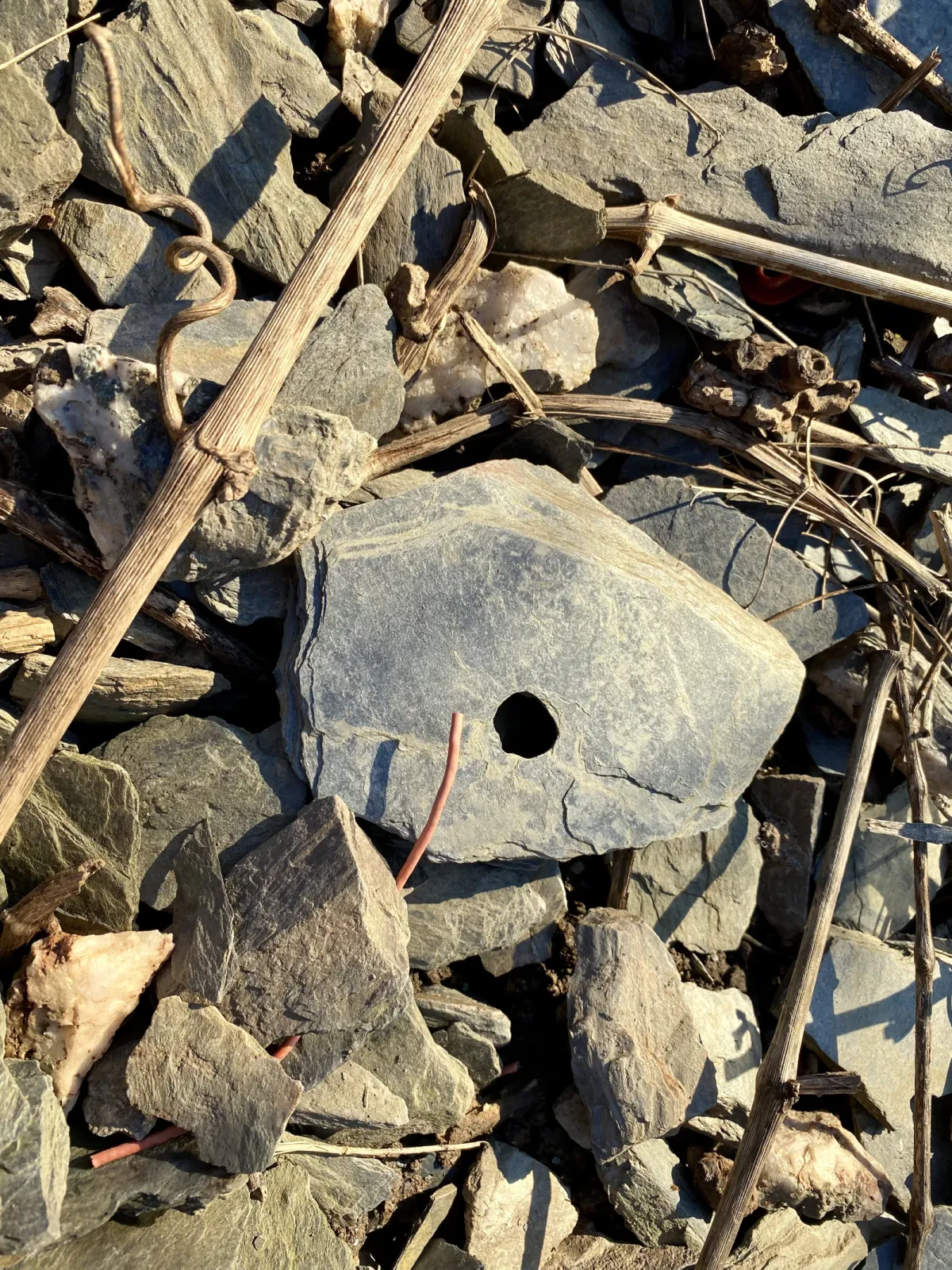 Laurentiuslay, Ardoise/ Schiste devonian bleu