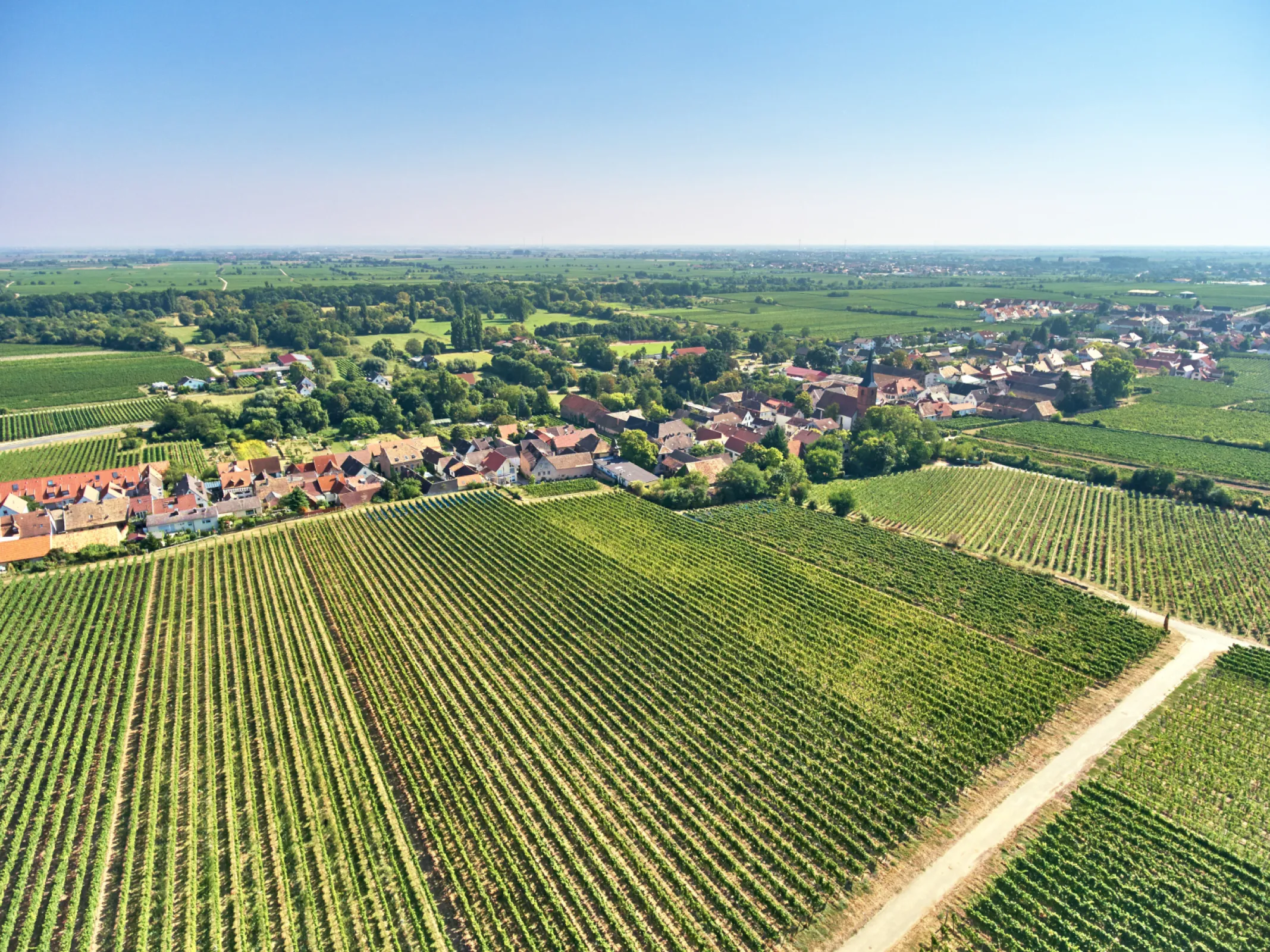 JESUITENGARTEN Grand Cru