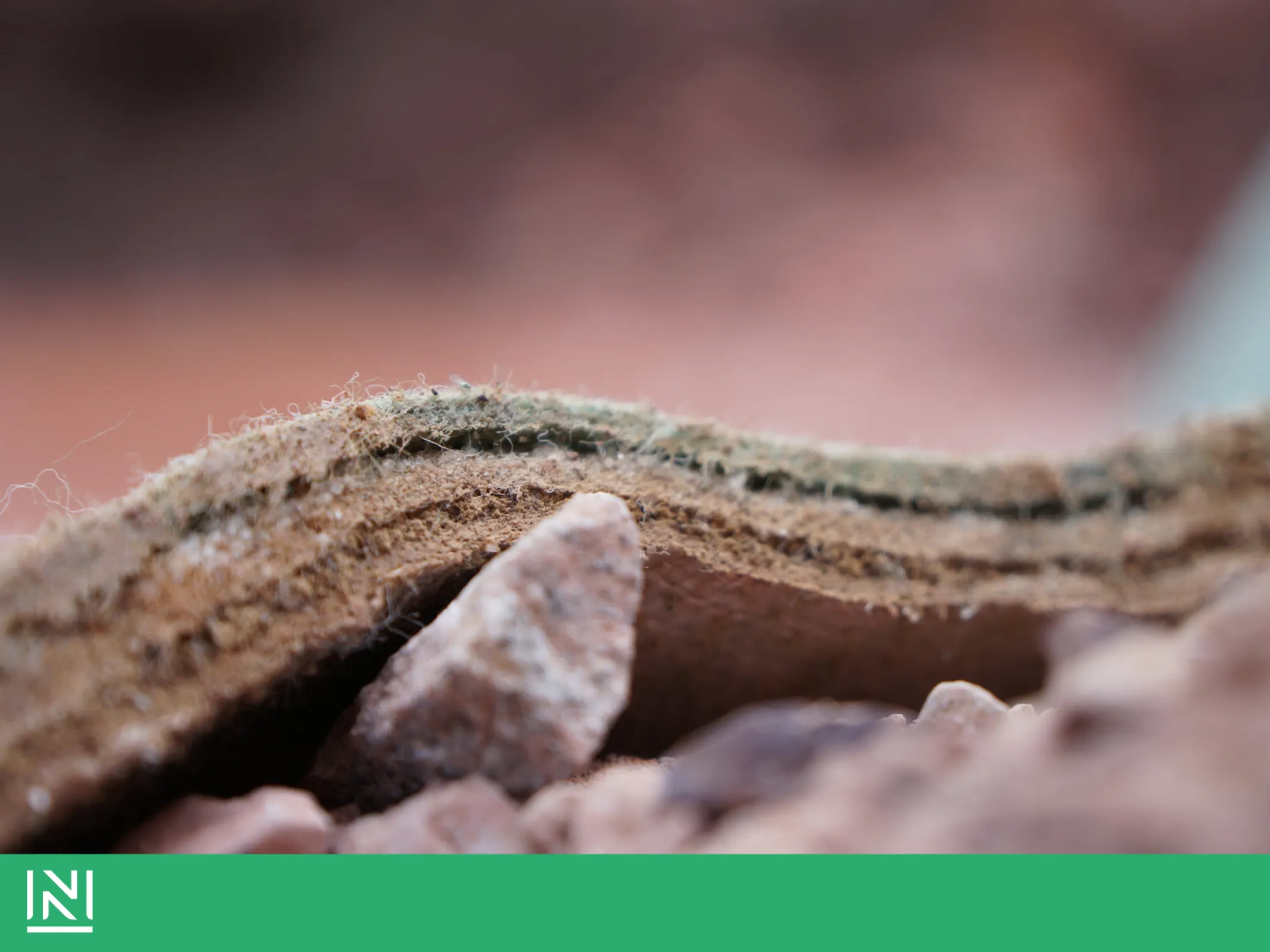 Naue Group: Bentofix®