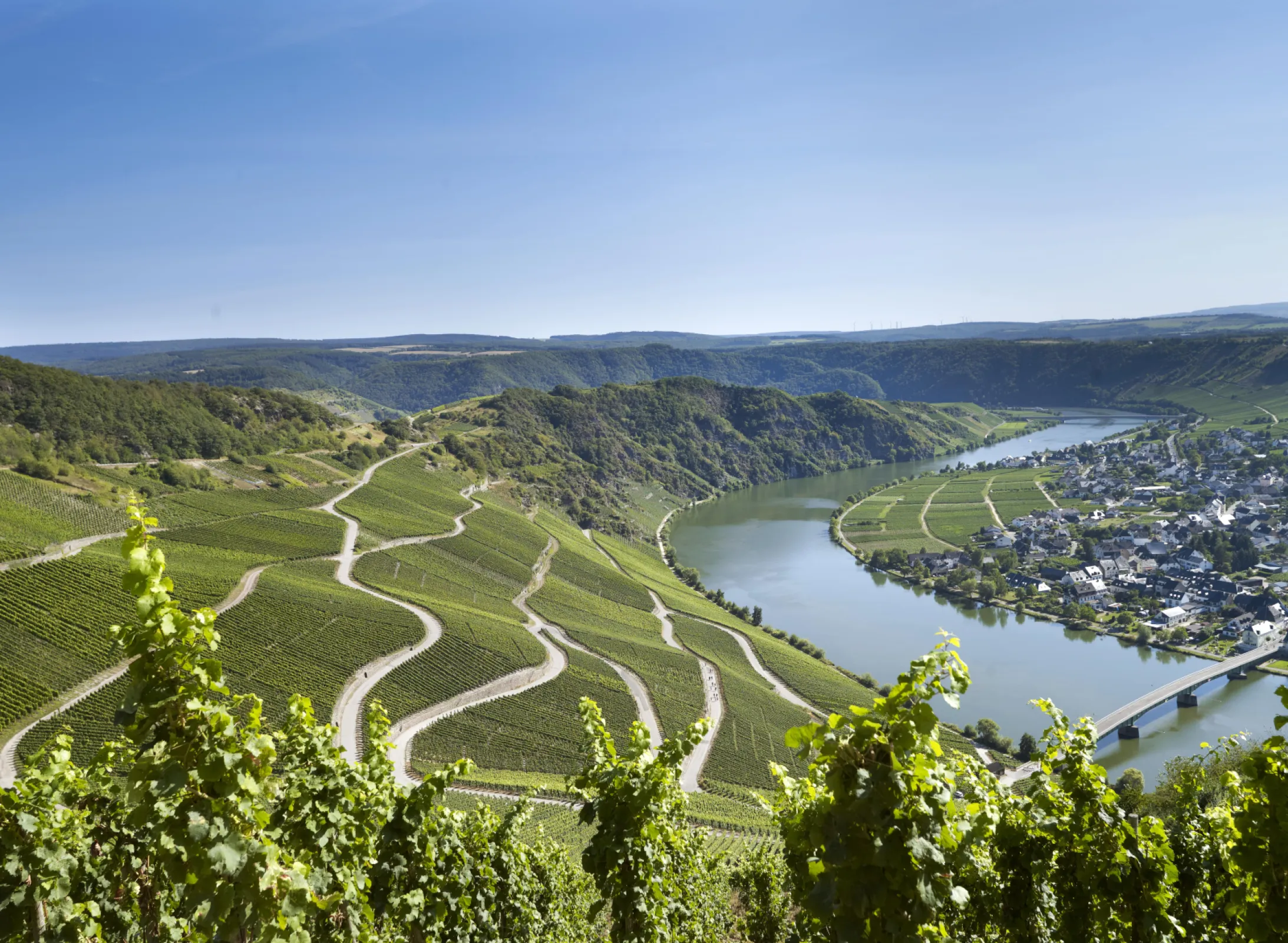 Piesporter Goldtröpfchen