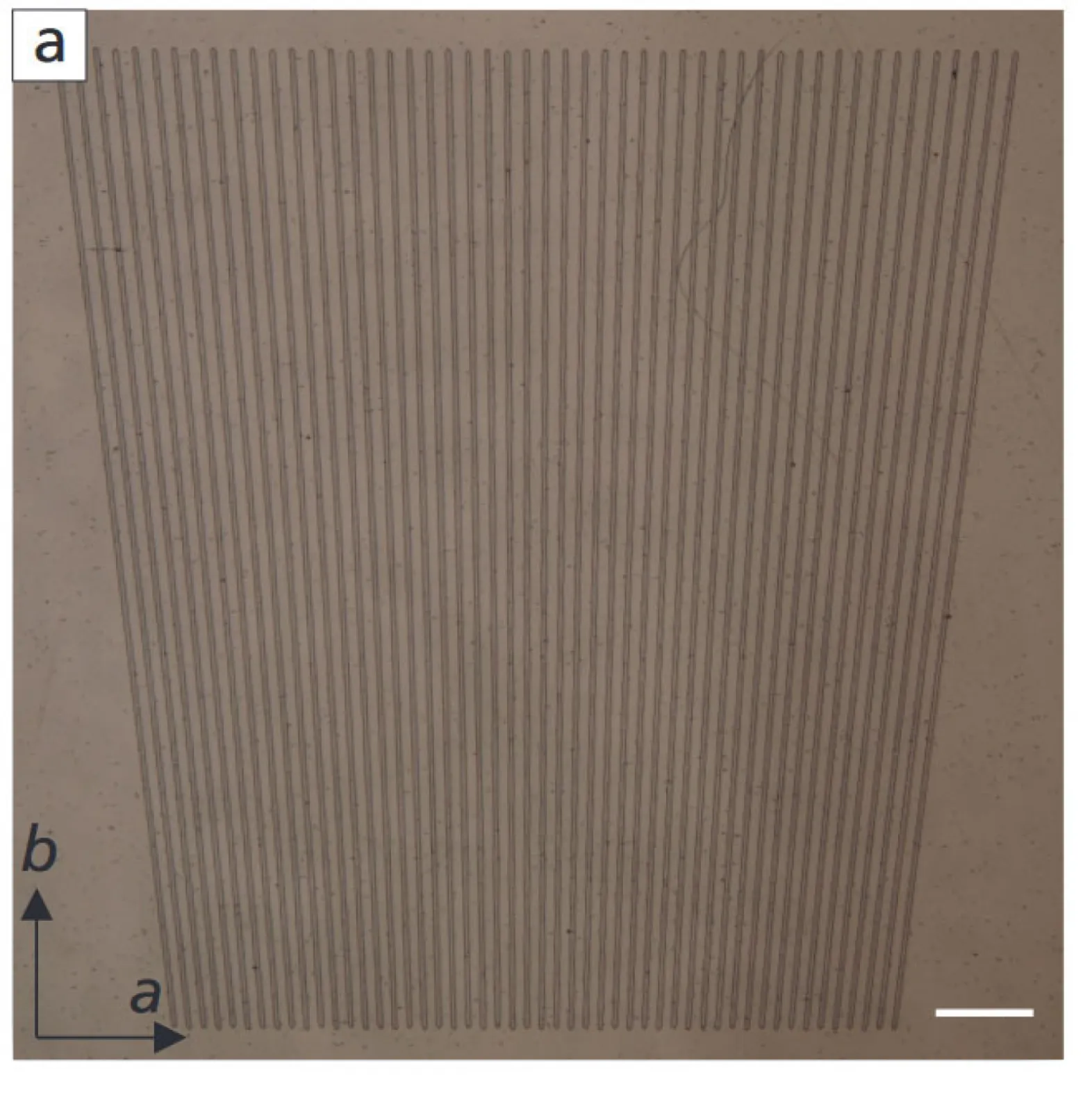 Fan-out pattern in a QPM crystal for tunable frequency conversion Fan-out pattern in a QPM crystal for tunable frequency conversion