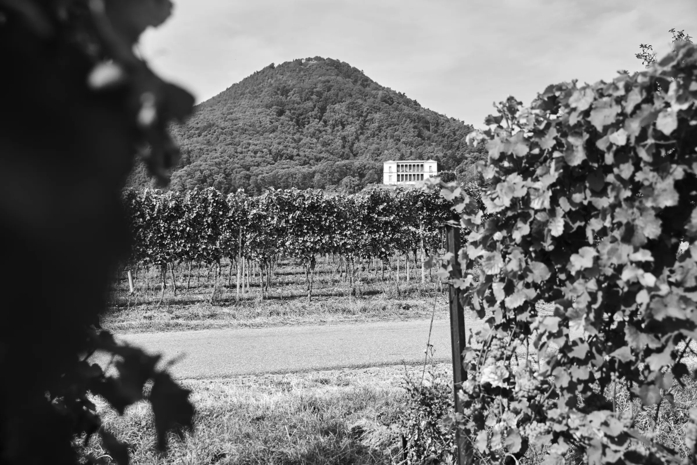 Local mountain with Villa Ludwigshöhe and Rietburg Castle