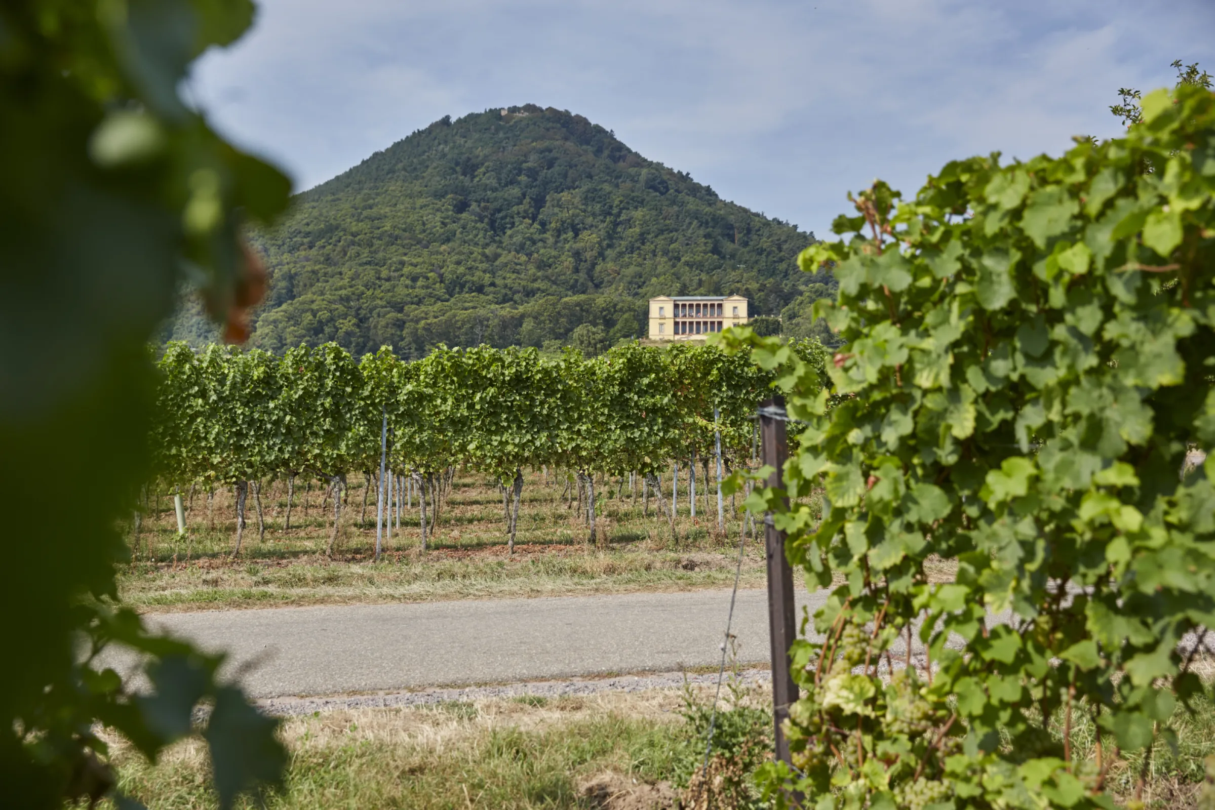 Local mountain with Villa Ludwigshöhe and Rietburg Castle