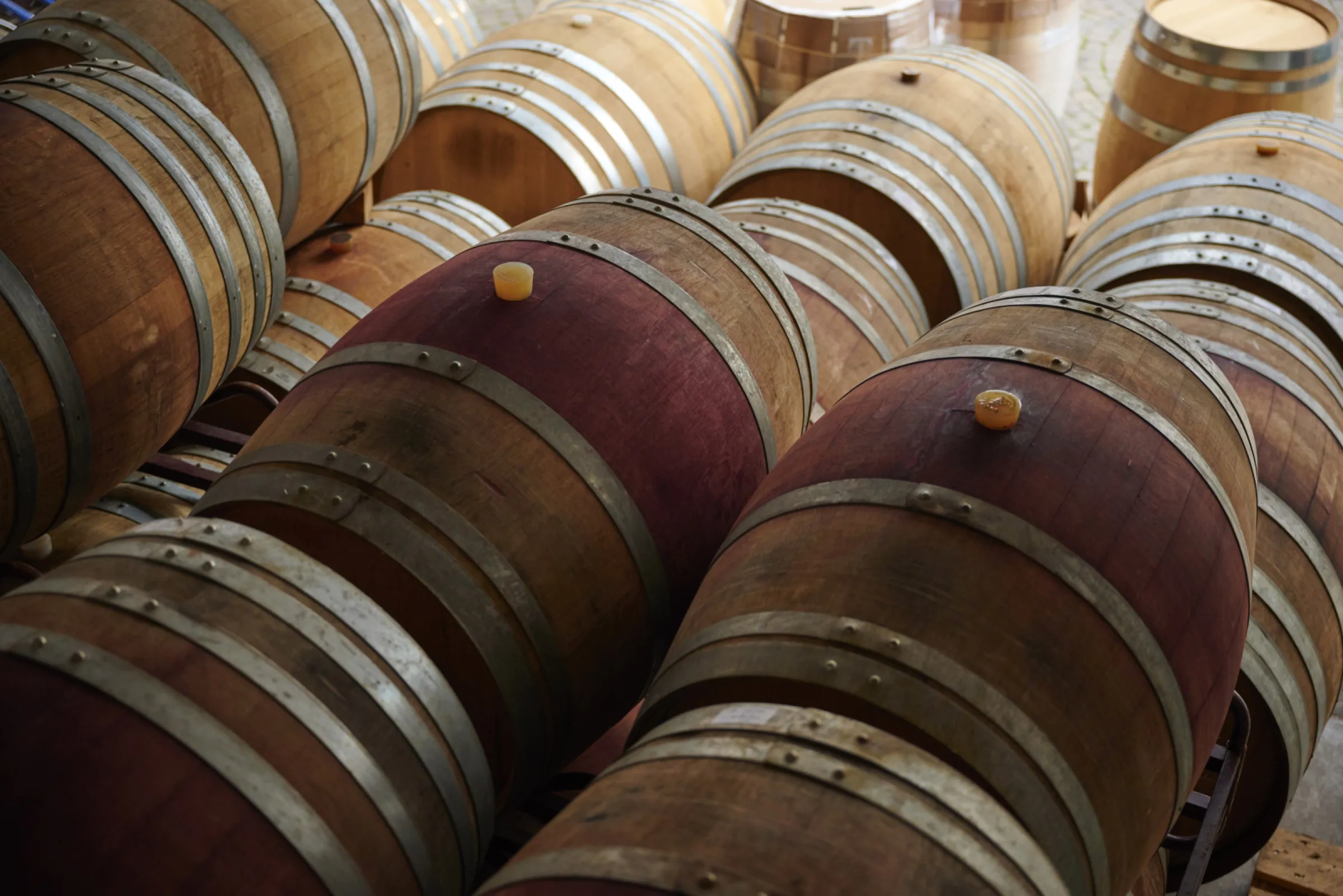 Wooden barrels in the cellar