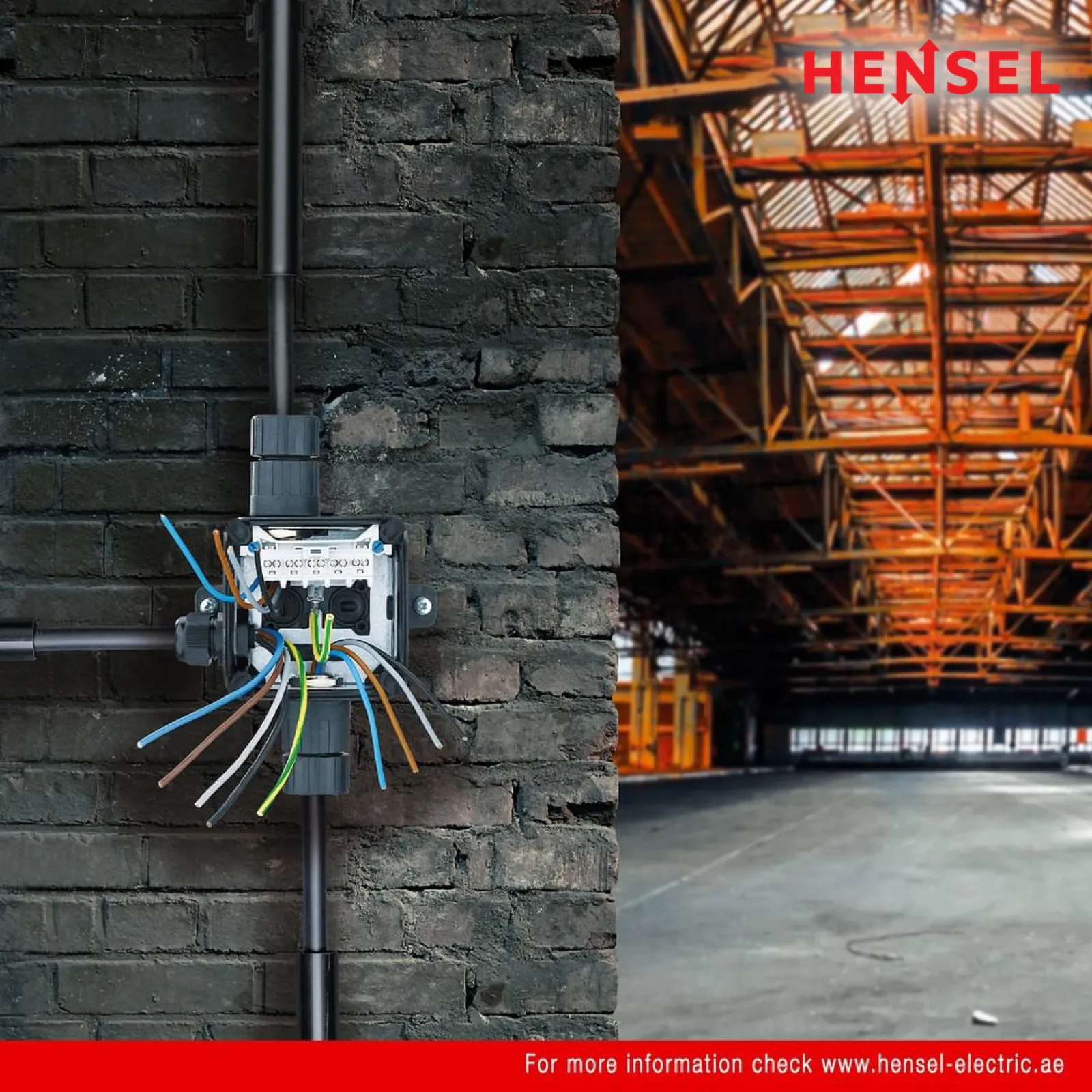 Hensel Enycase - Cable Junction Boxes with PE Inlay