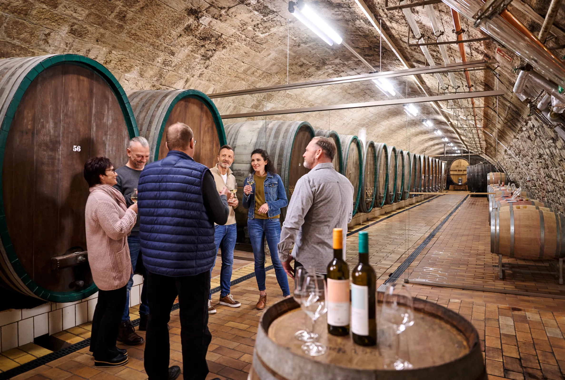 Cellar Winzervereinigung Freyburg - Unstrut eG