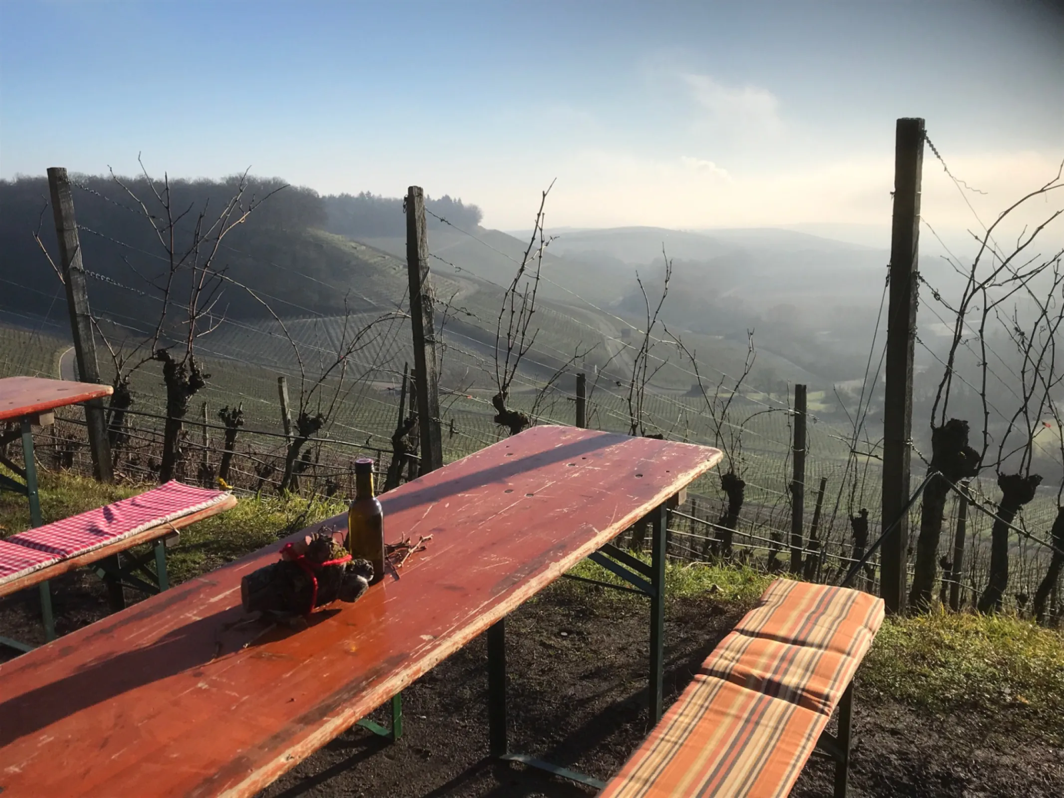 Landscape Weingärtner Stromberg - Zabergäu eG - winegrowing region Württemberg