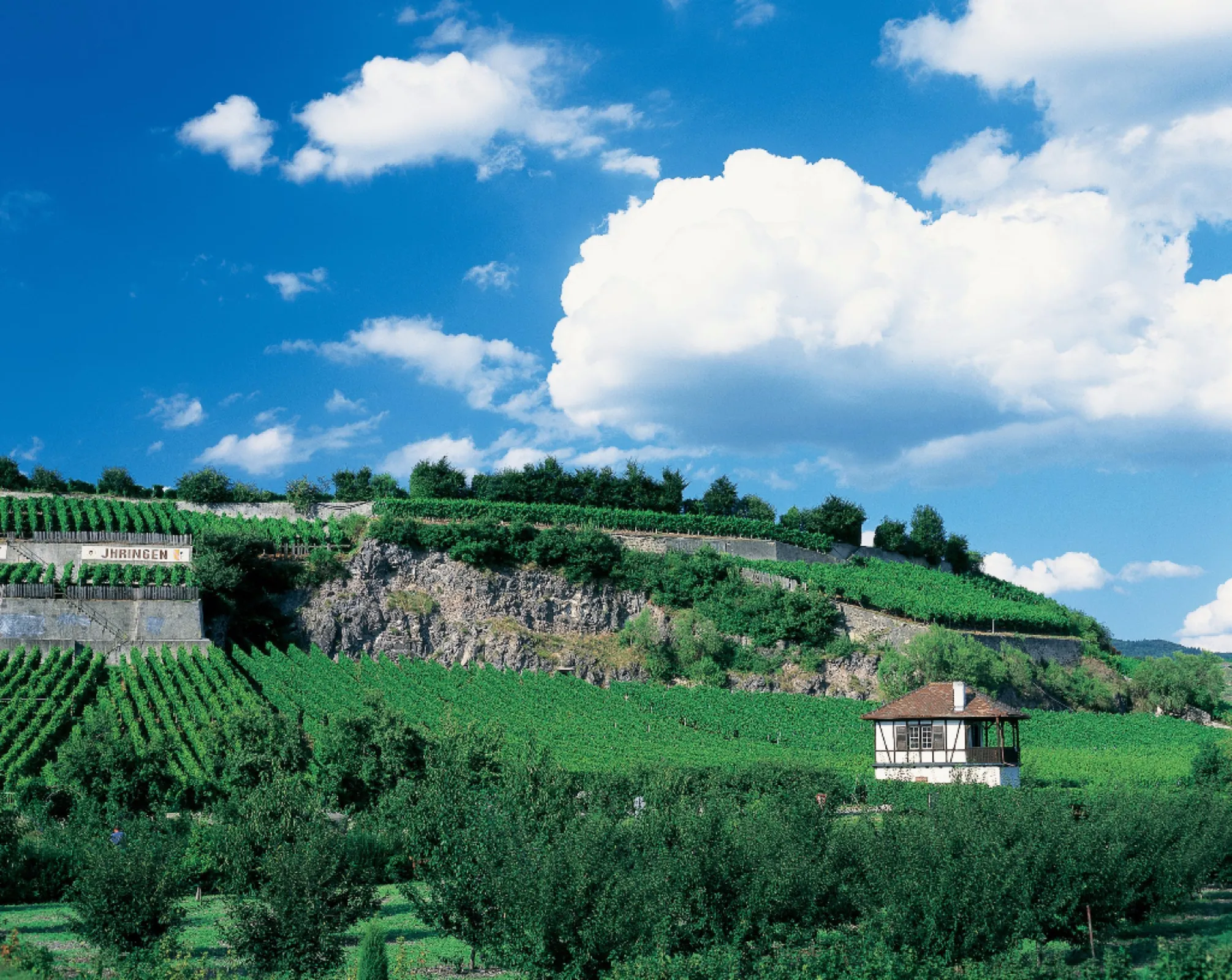 VORDERER WINKLERBERG Ihringen VDP.GROSSE LAGE (grand cru)