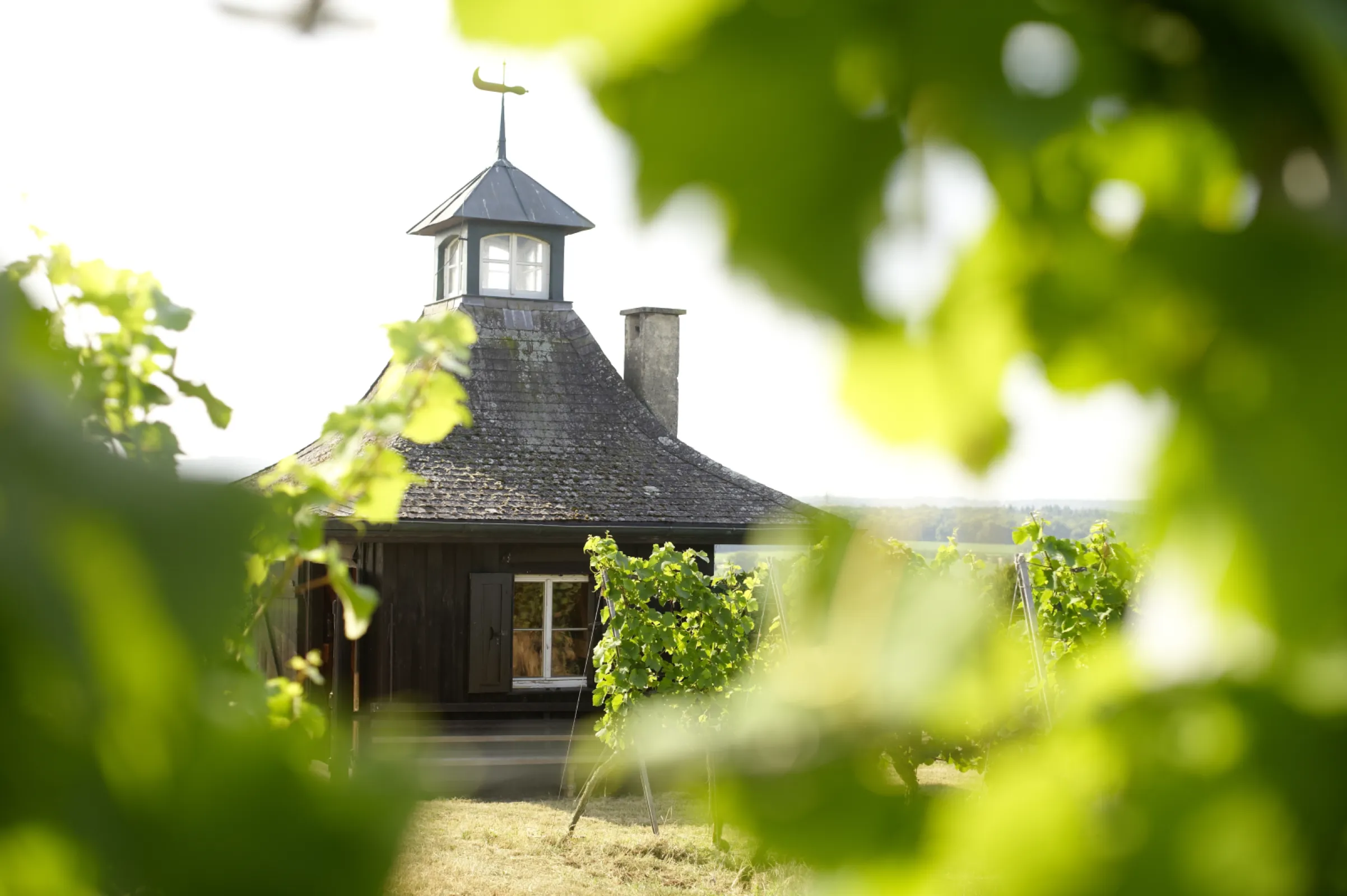 PAGODE Ihringen VDP.GROSSE LAGE Monopol (grand cru)