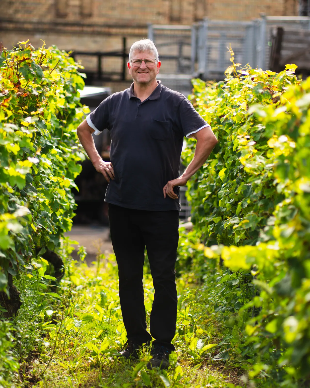 Paul Christian Anheuser CEO