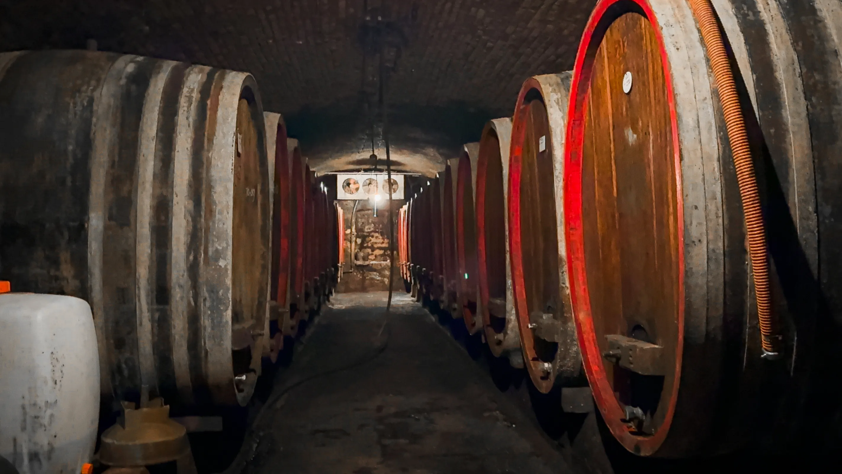 Cellar Vinery