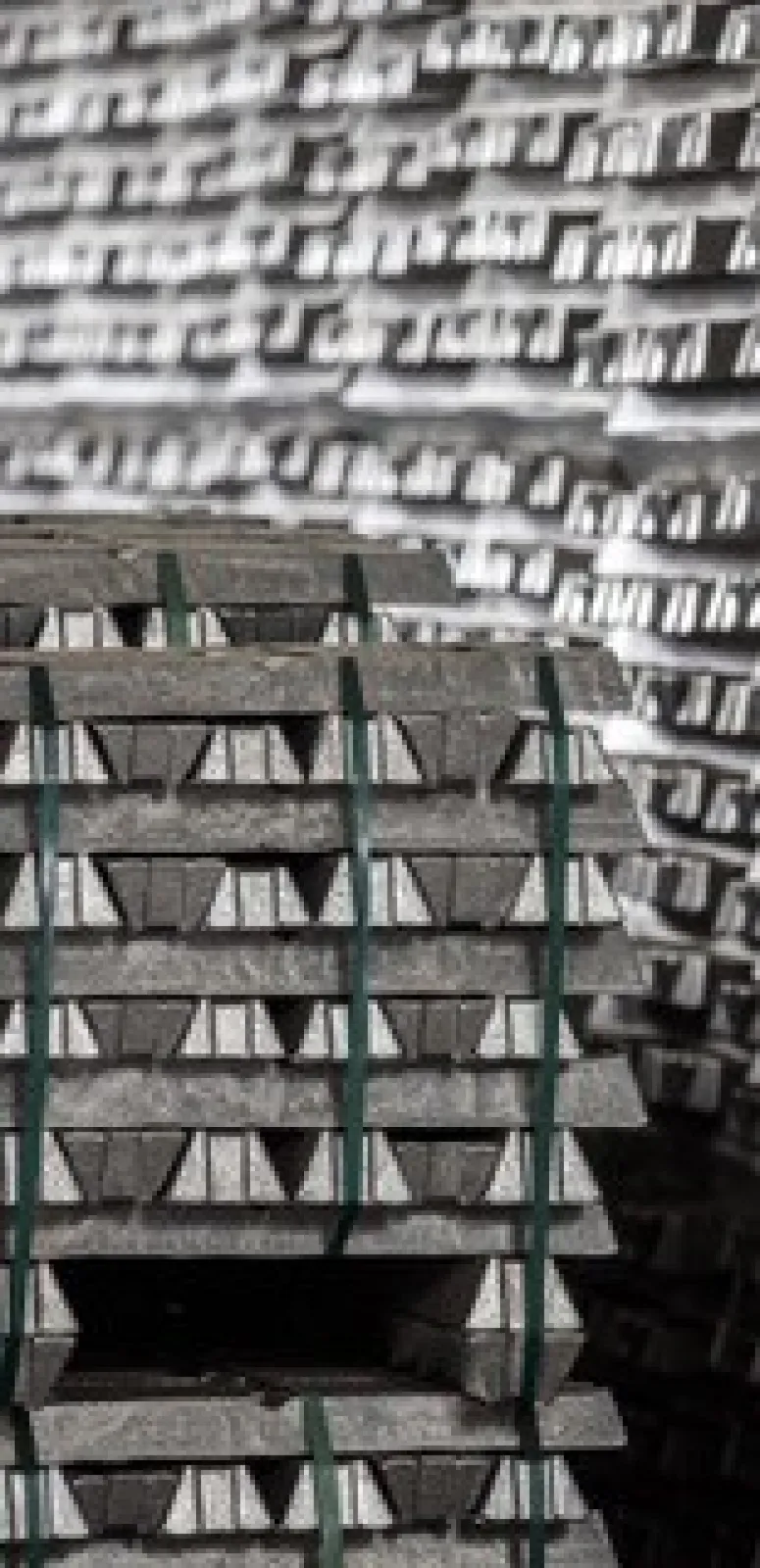 Ingots of Magnesium and Magnesium Alloys