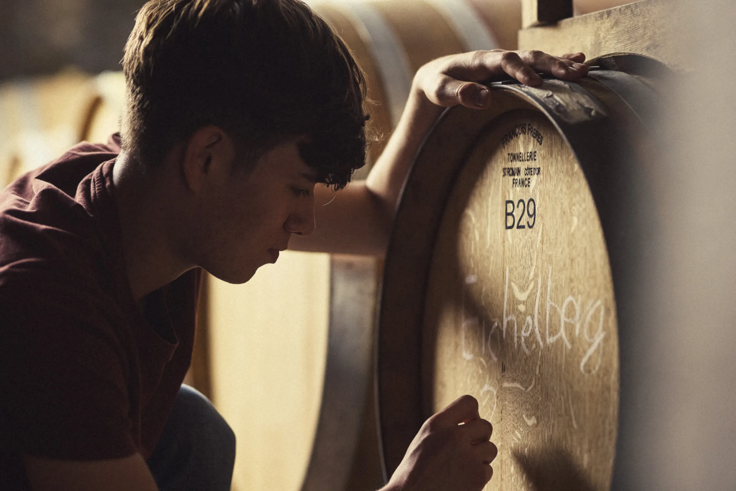 Our philosophy - Every Steitz wine is hand-harvested, carefully pressed, and naturally fermented. In the cellar, spontaneous fermentation and minimal intervention allow the wines to fully express their origin.