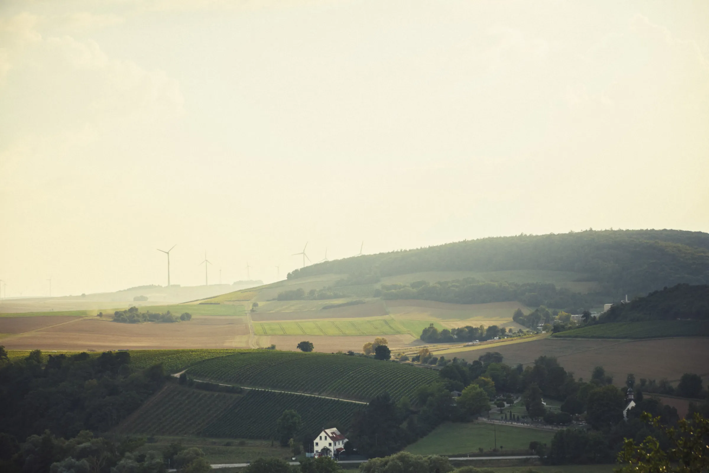 Rheinhessische Schweiz - Shaped by raw winds and ancient volcanic rock, winemaking here is not simply a craft but a commitment.