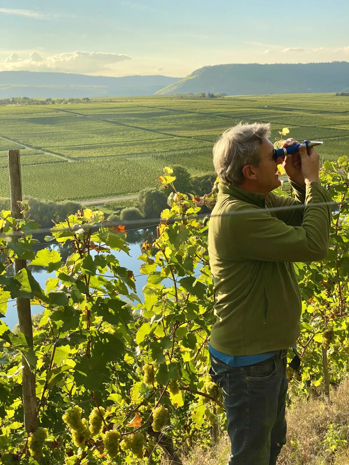 Nick during the ripeness check in the Klüsserather Bruderschaft vineyard