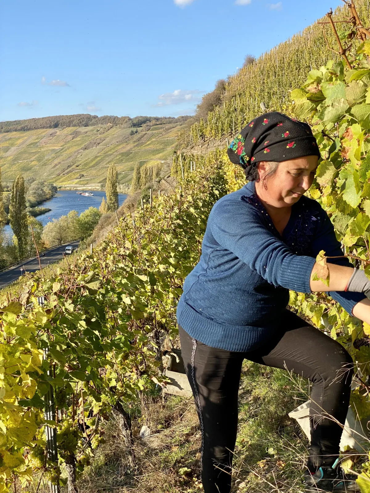 Leiwener Laurentiuslay