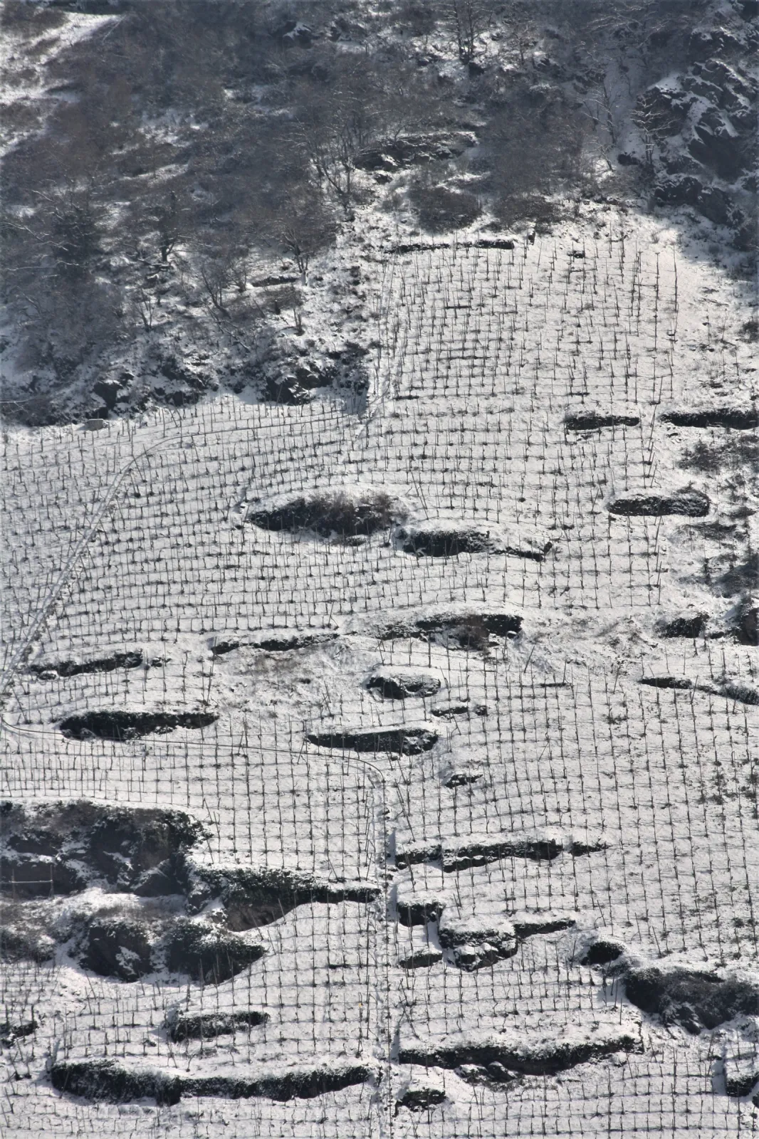 Leiwener Laurentiuslay