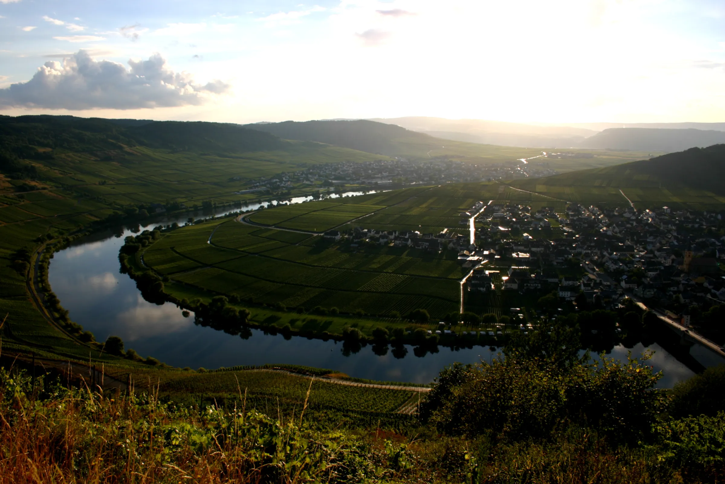 Mosel loop near Leiwen