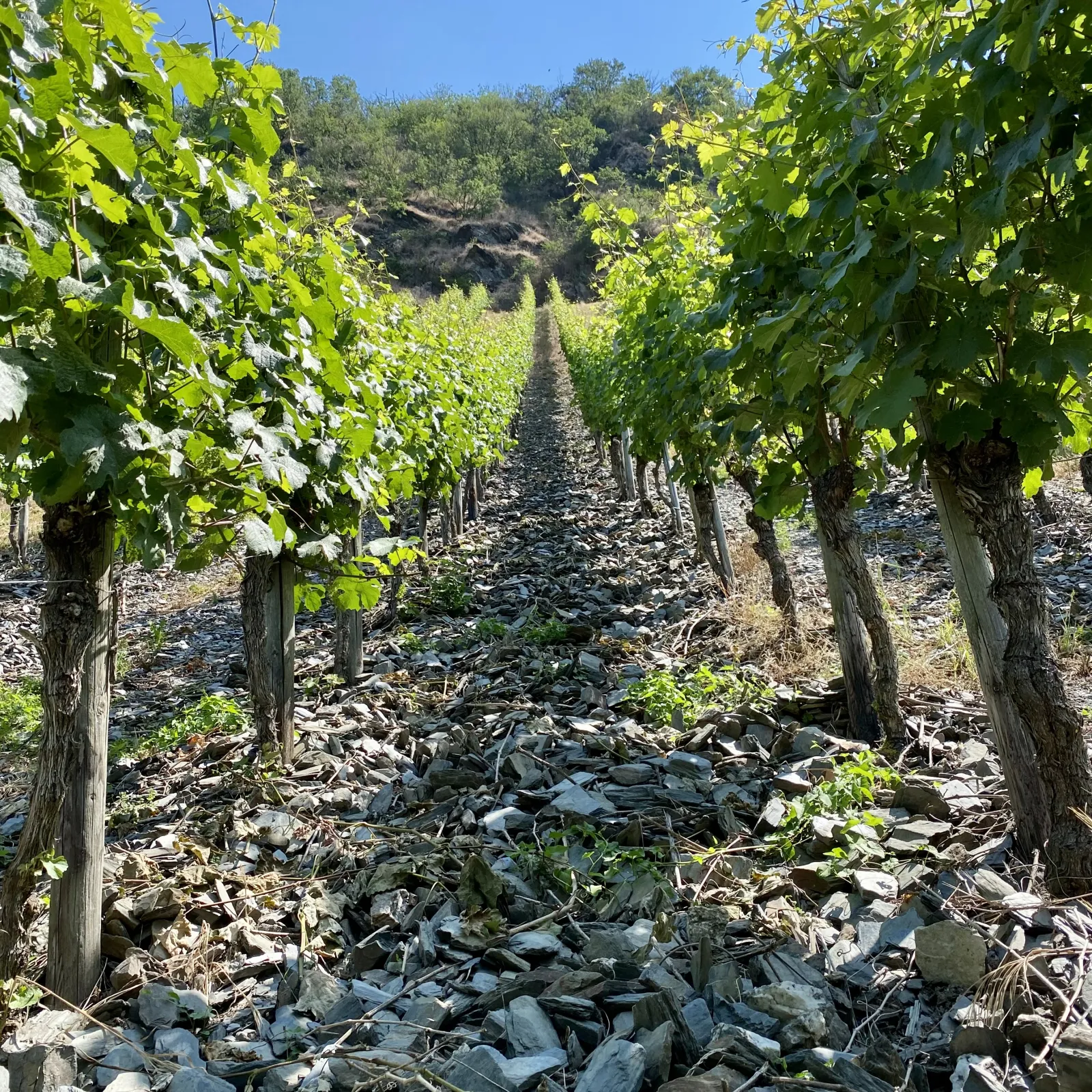 Köwericher Laurentiuslay