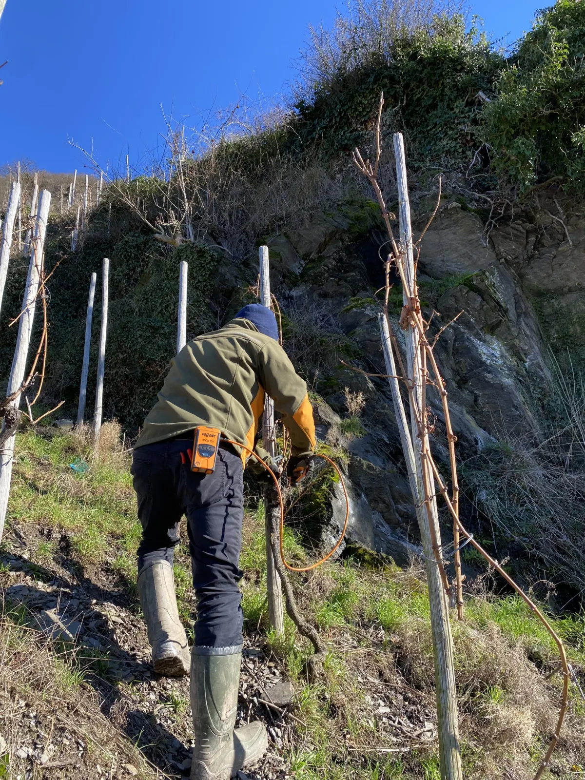 Leiwener Laurentiuslay