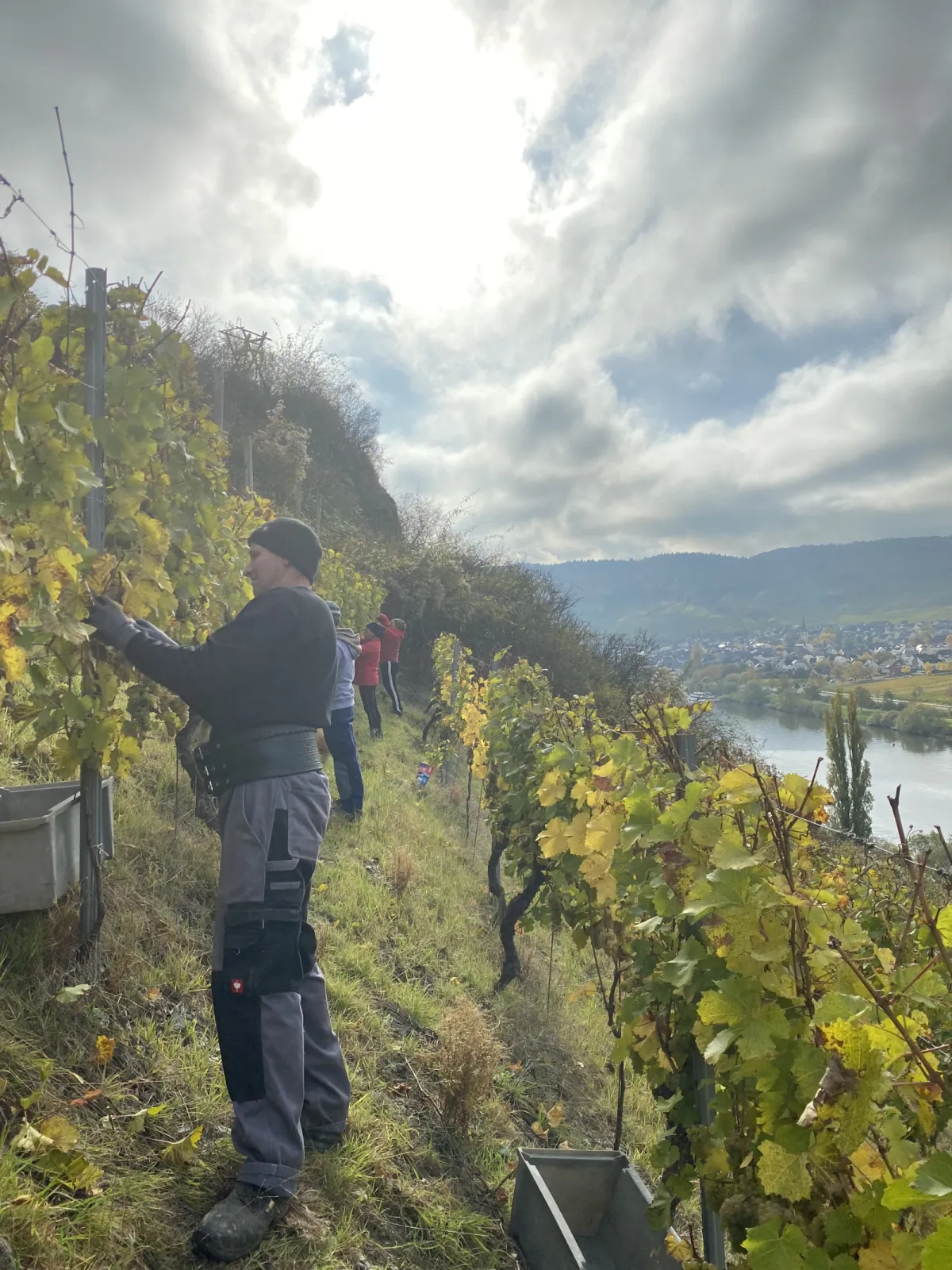 Leiwener Laurentiuslay