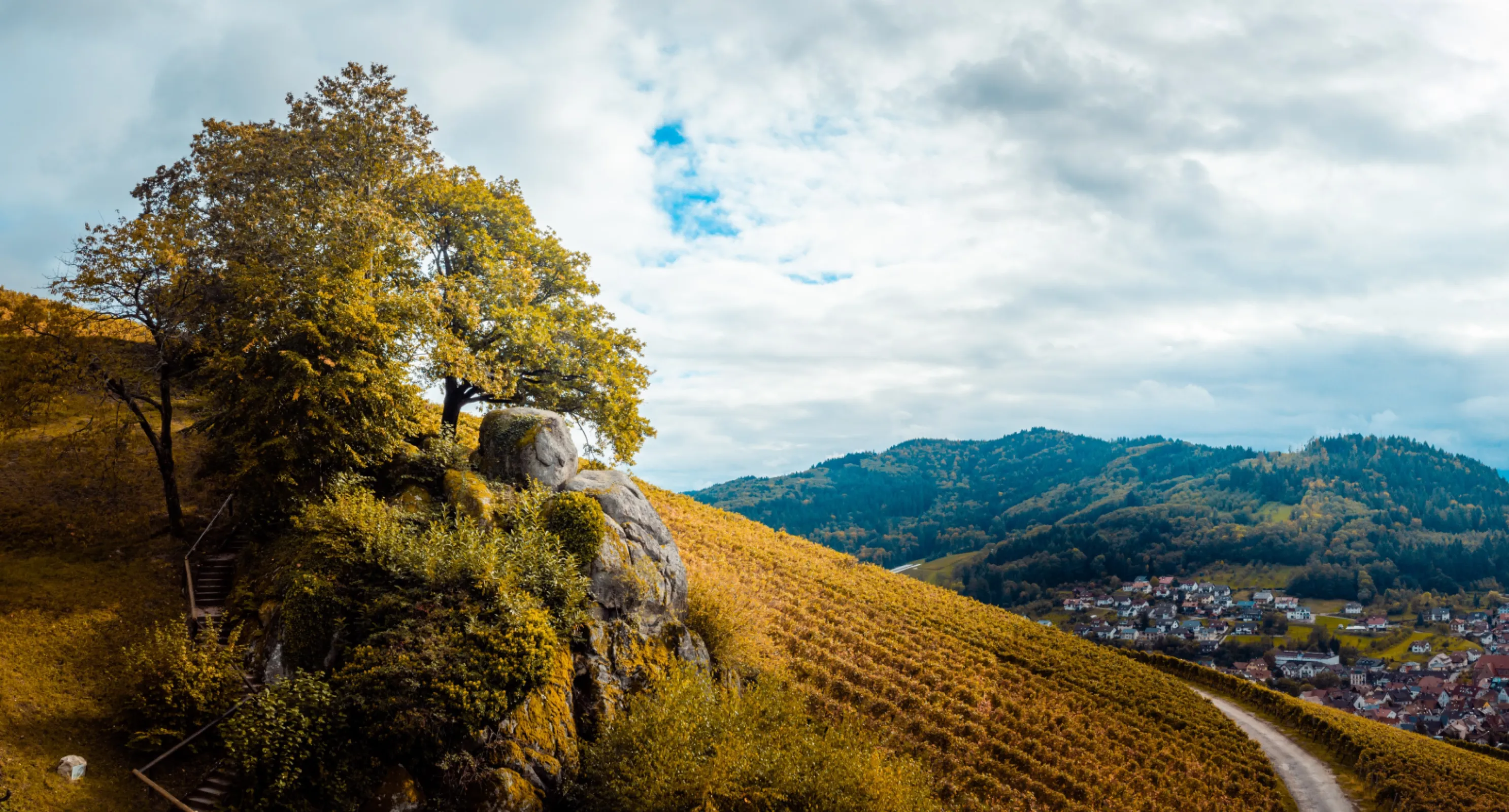 Legendary Stone "Dasenstein" in Kappelrodeck