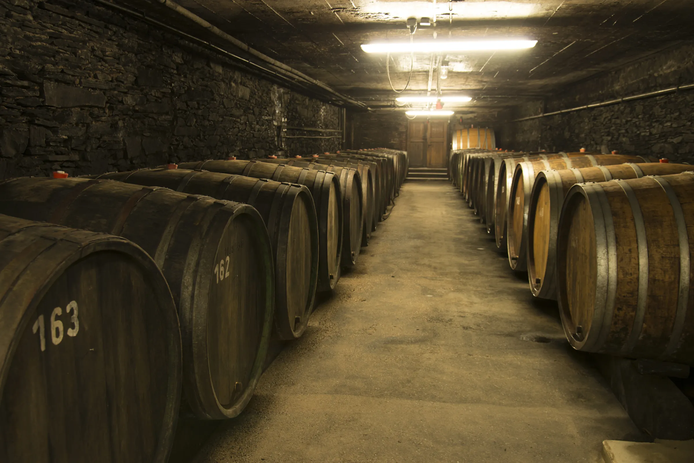 Wine cellar with traditional "fuder" barrels