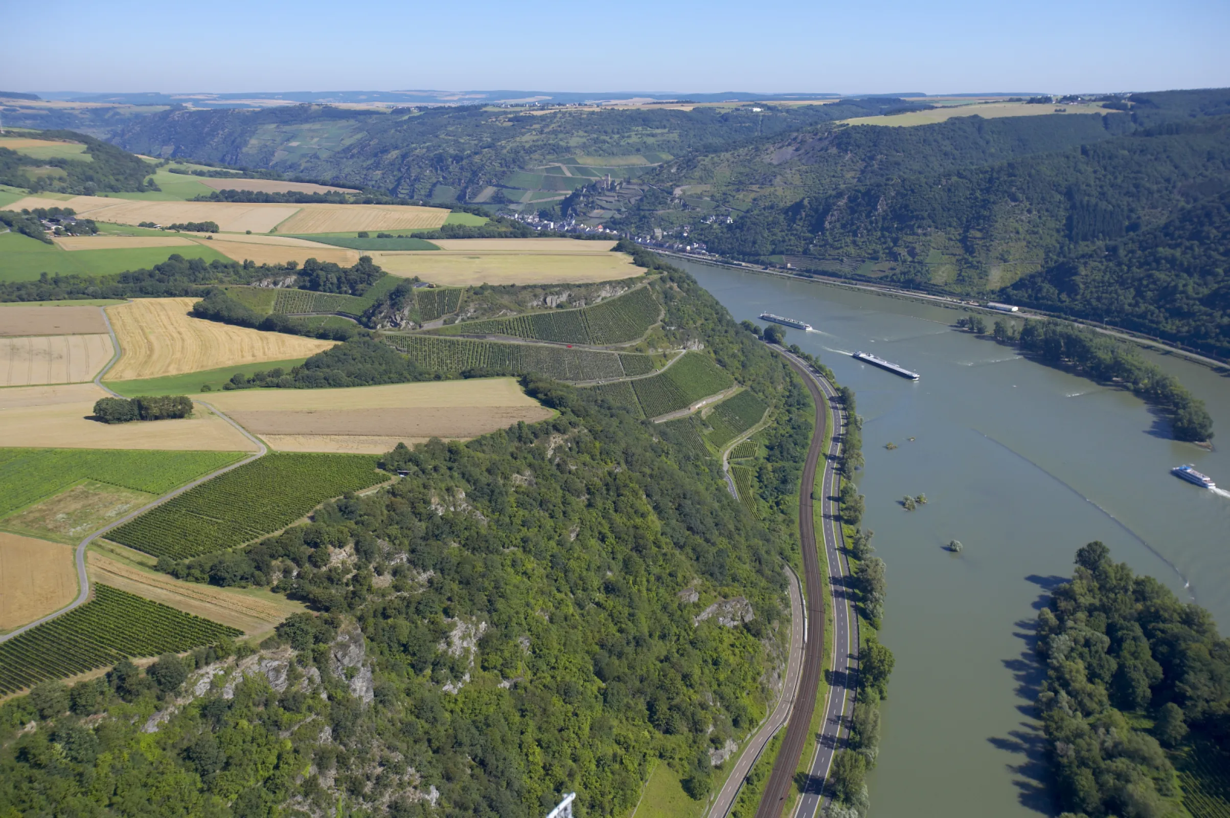 Monopoly vineyard Bacharacher Hahn located directly at the Rhine river