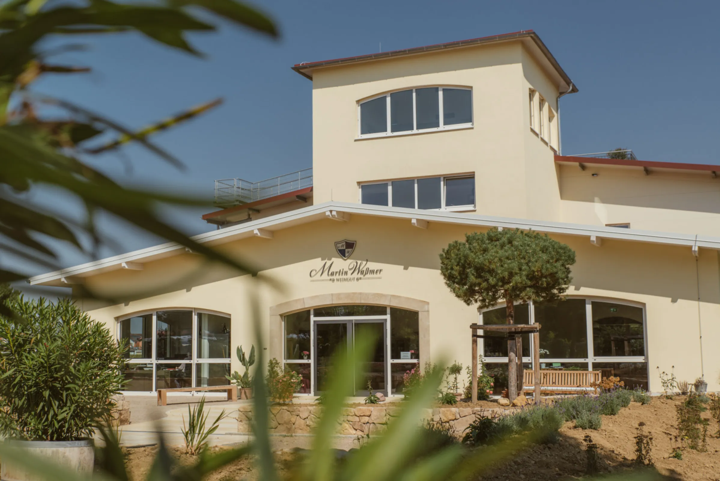 Winery Martin Waßmer