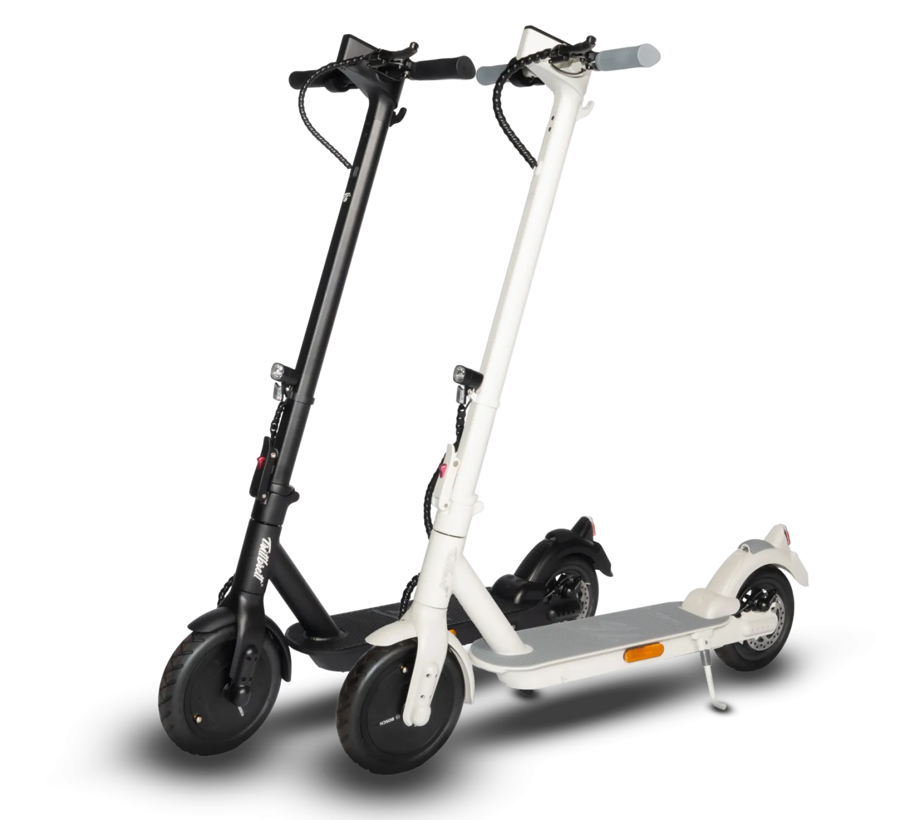 KALLE & EMMA - The Sports and The Beautiful One