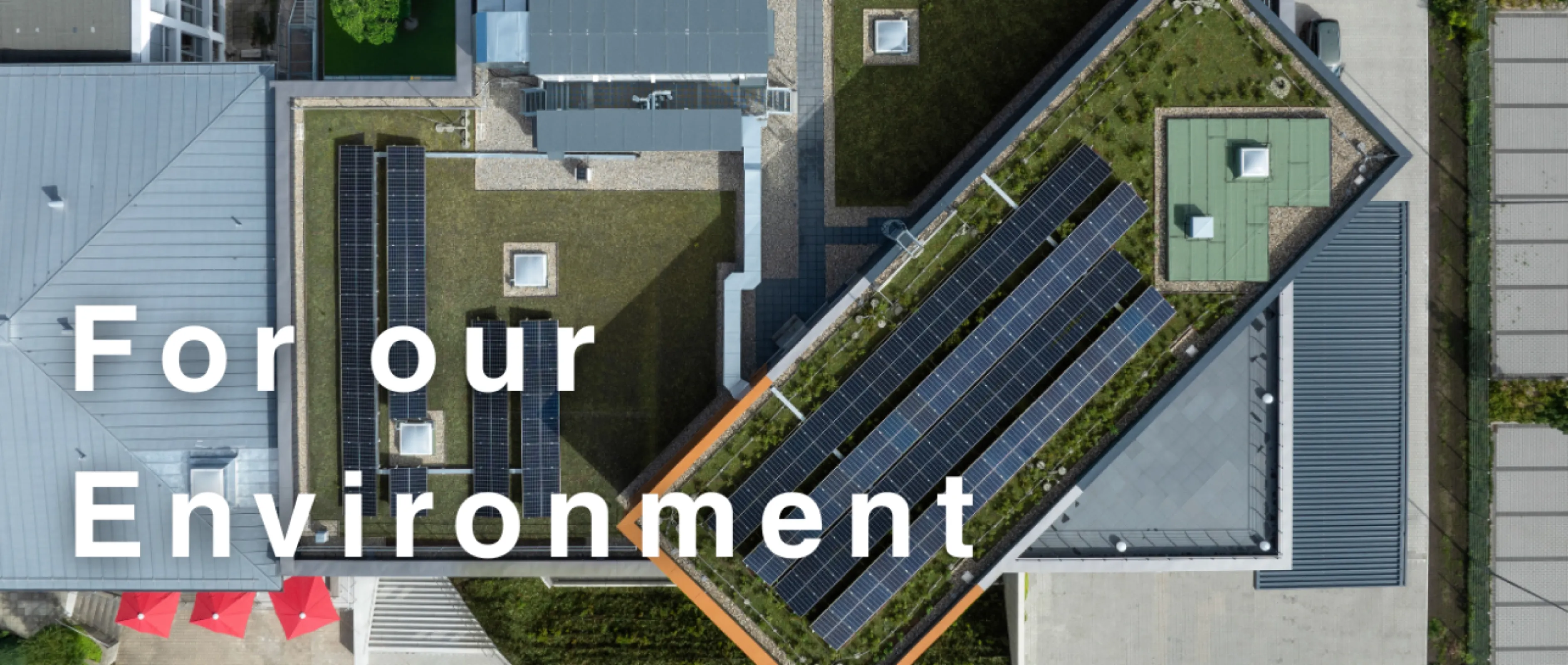 We actively seek sustainable alternatives when selecting our raw materials – with the clear goal of continuously reducing environmental impact throughout our supply chain. For our brush handles, we use only FSC-certified wood from sustainable European forestry.  Around 95% of our suppliers are based in EU countries. Close collaboration with European partners ensures not only transparent supply chains but also short transport distances – reducing our CO₂ footprint and enabling reliable, sustainable sourcing of materials.