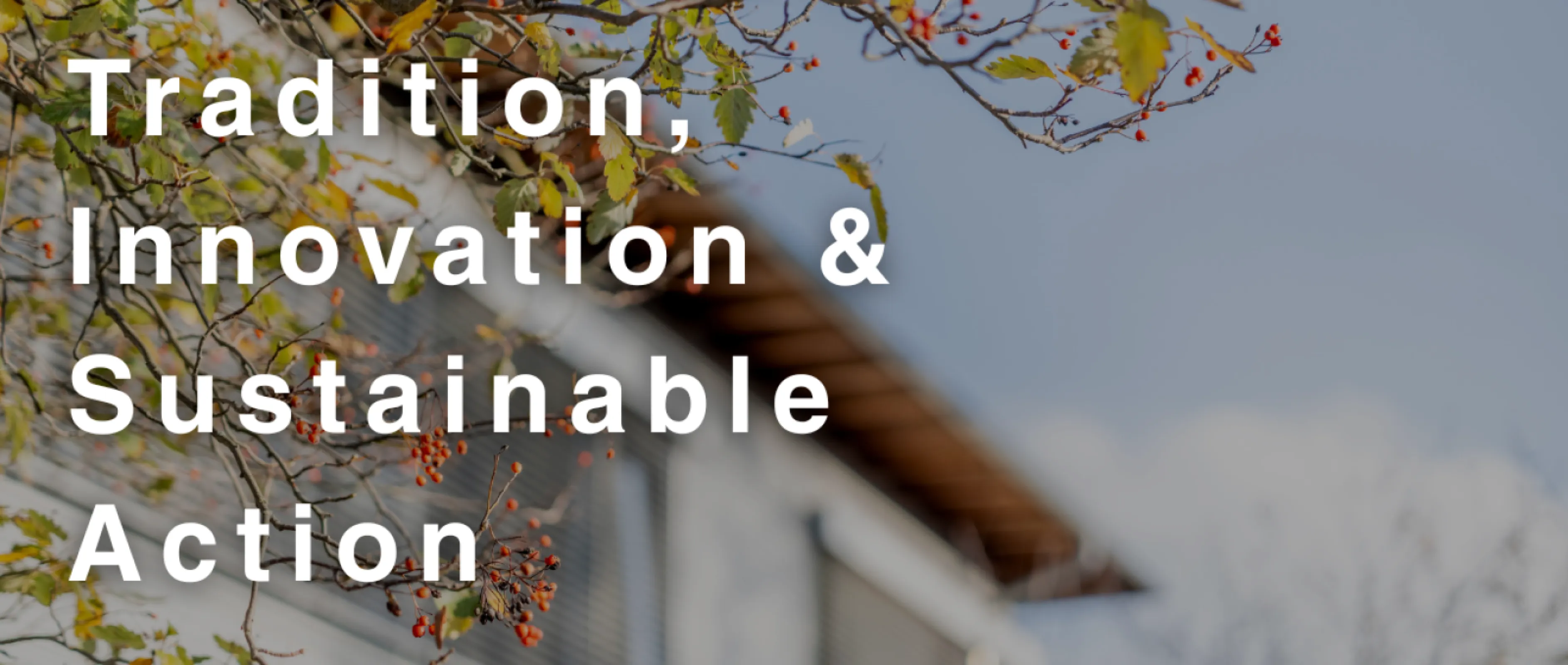 Our company philosophy is clear: we manufacture premium, long-lasting brushes for a wide range of uses – from art brushes to cosmetic brushes, from dental technology to nail design. At da Vinci, we consciously reject disposable products. Instead, we focus on sustainable materials, precise craftsmanship, and handmade brushes designed to last for many years with proper care. The longevity of every component – from handle to fiber – is at the heart of our work. Our customers benefit from tools that are not only of the highest quality, but also responsibly and eco-friendly produced.