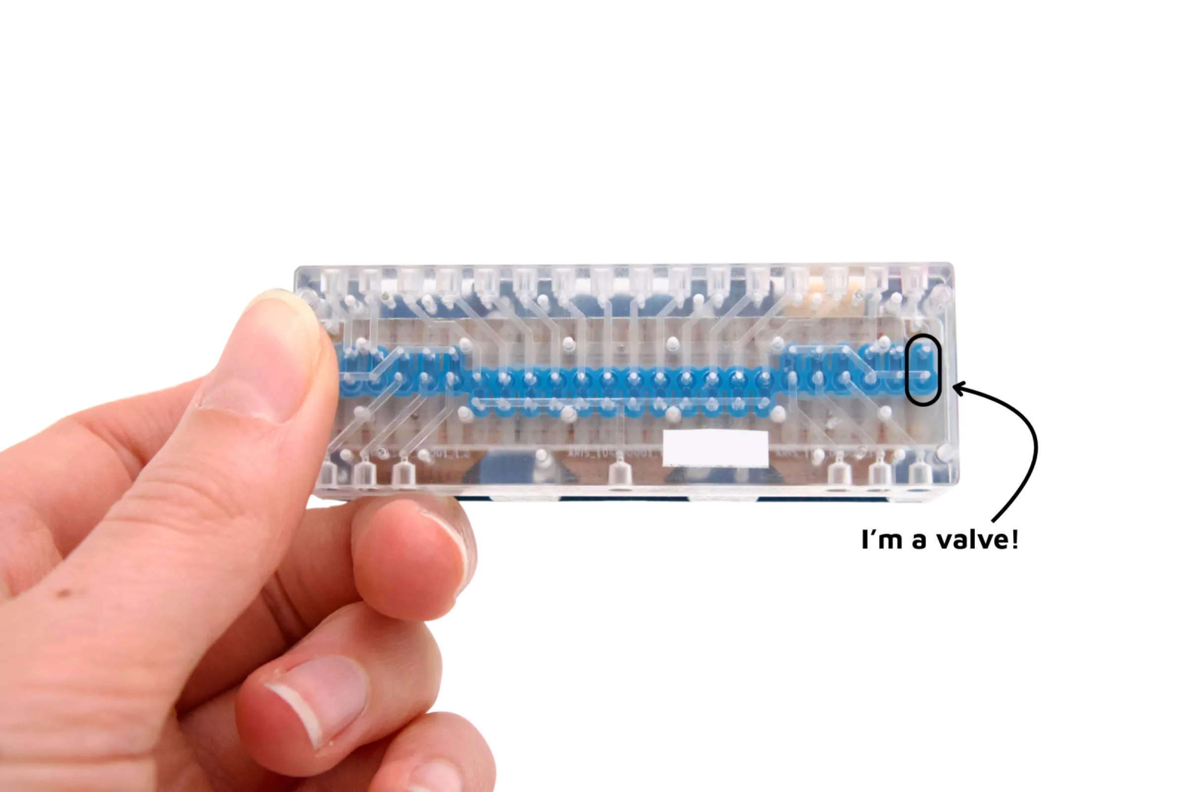 Custom 24-Channel Multi-valve Array System