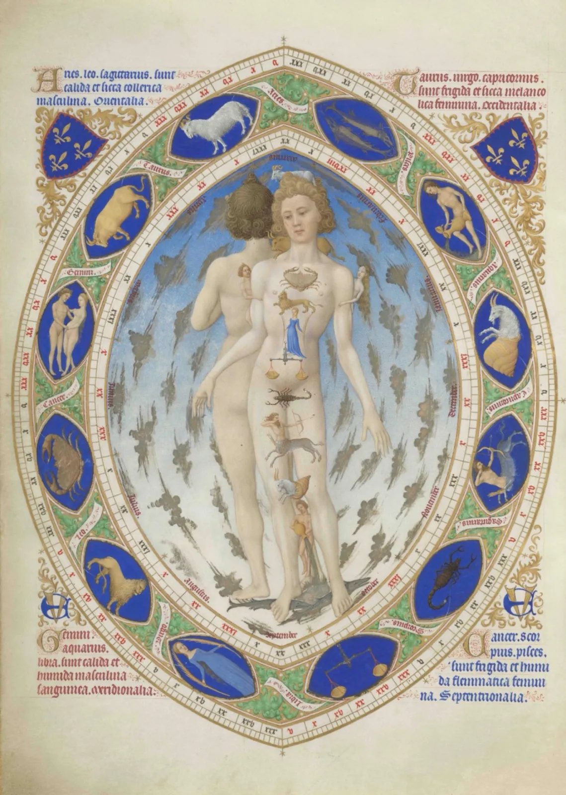 Fol. 14v: The Homo Signorum – the Zodiac Man. This Zodiac Man concludes the calendar, illustrating the medieval belief that zodiac signs affected health and guided medical practice. An androgynous figure in a mandorla is shown front and back, each body part linked to its governing sign, from Aries on the head to Pisces at the feet. Surrounding bands mark zodiac months, days and seasons, while Duke John of Berry’s emblems appear in the corners. Created by the Limbourg Brothers, this innovative image reflects late medieval astrological medicine.