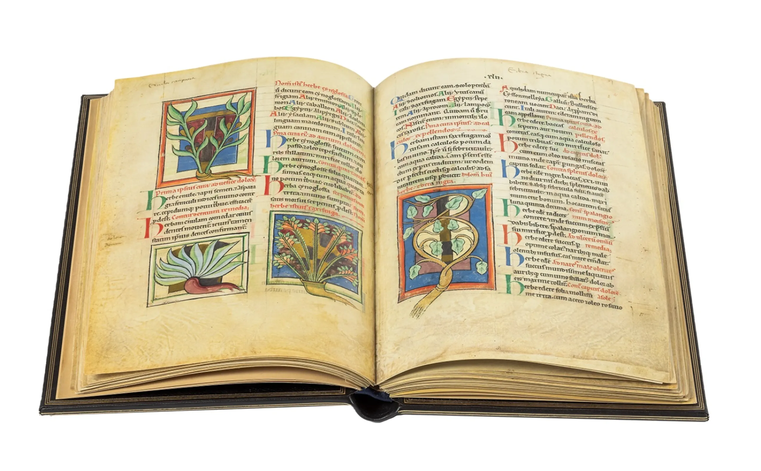 The extraordinarily rich and sophisticated execution of this splendid manuscript  indicates that the book was created for the extensive collection of a cultured, high-ranking individual.