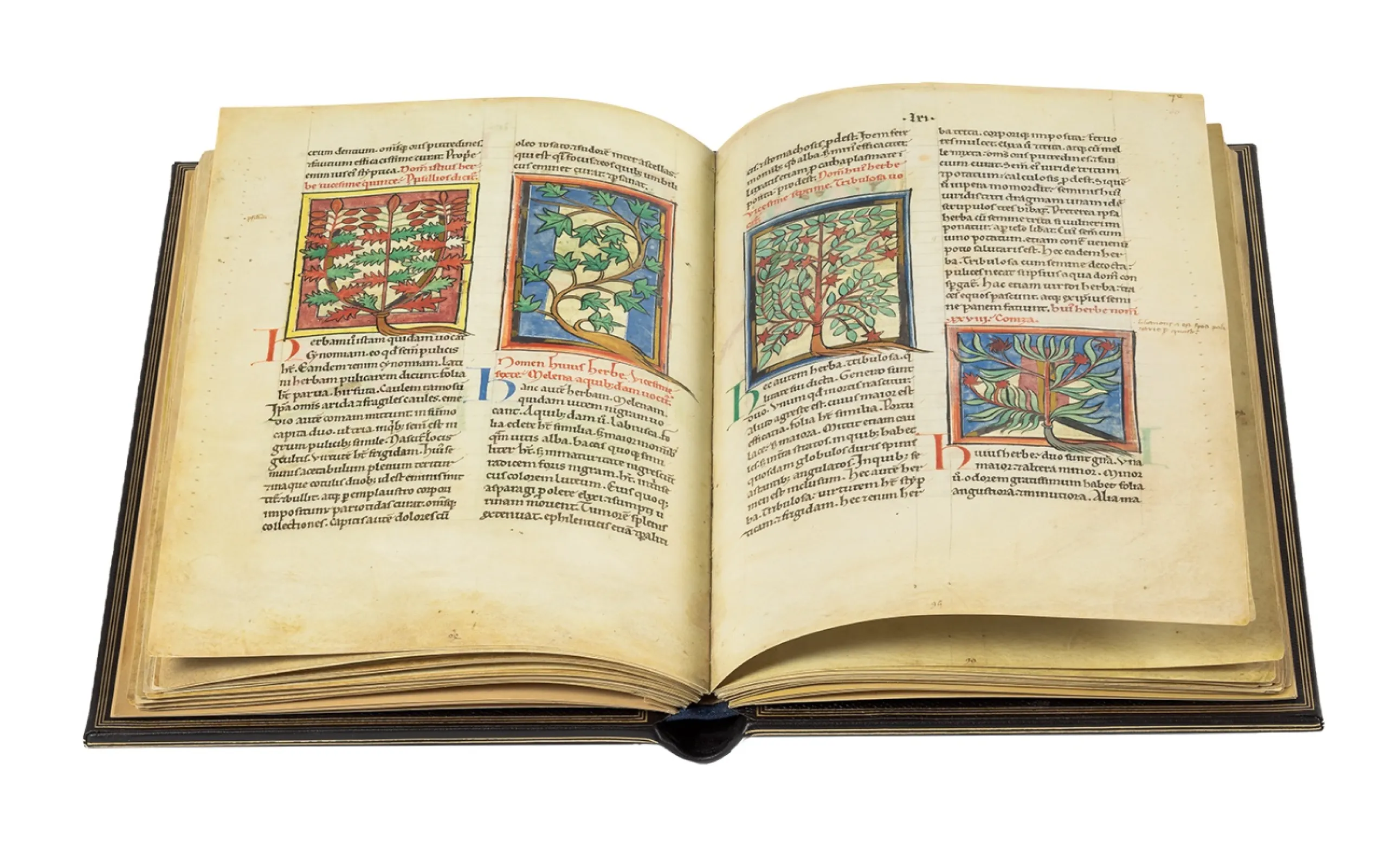 Our manuscript offers a unique testimony of its time, not only from the point of view of medicine, pharmacology and the history of science, but also with regard to the history of mentalities and history of art.