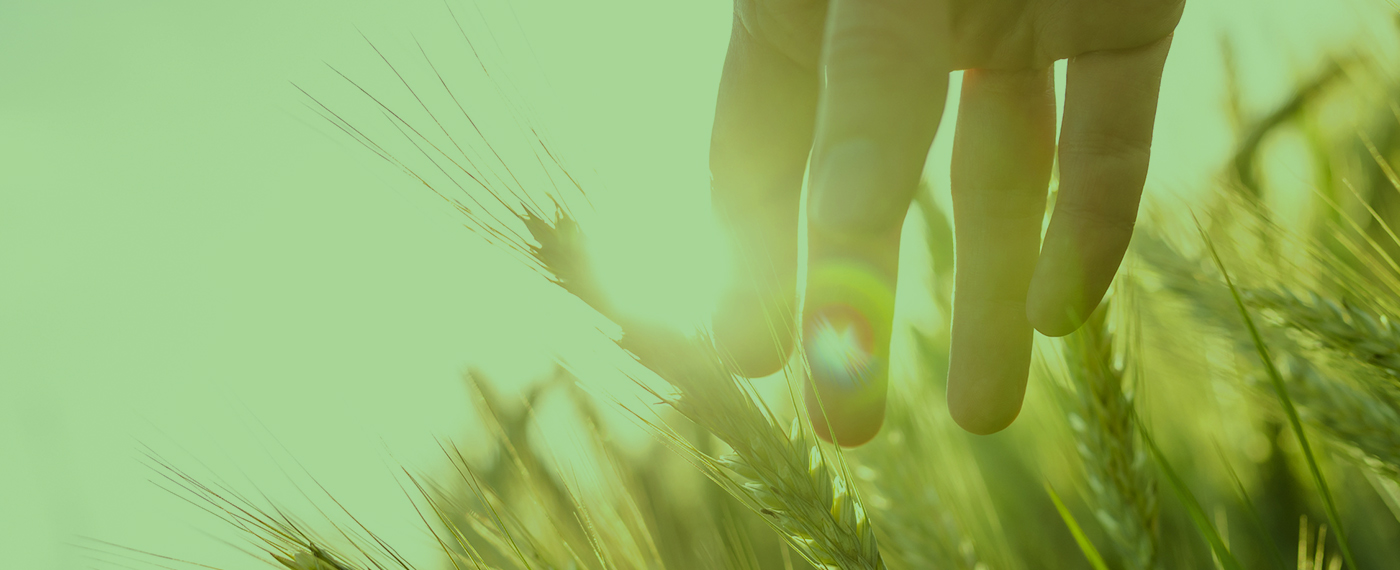 German Pavilion @ HORTIFLOREXPO IPM 2026 German Pavilion @ HORTIFLOREXPO IPM 2026