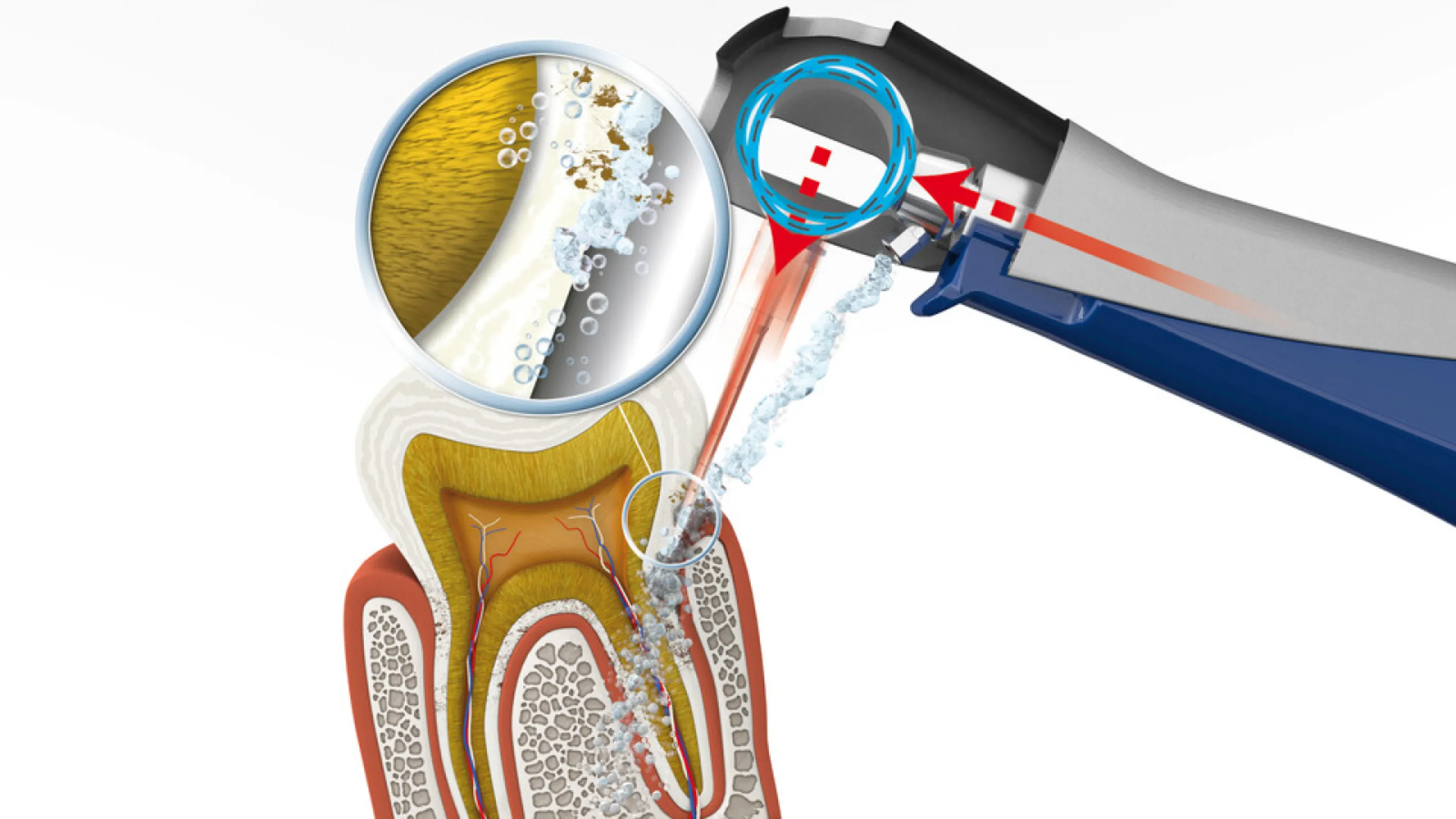 Illustration of Vector Philosophy