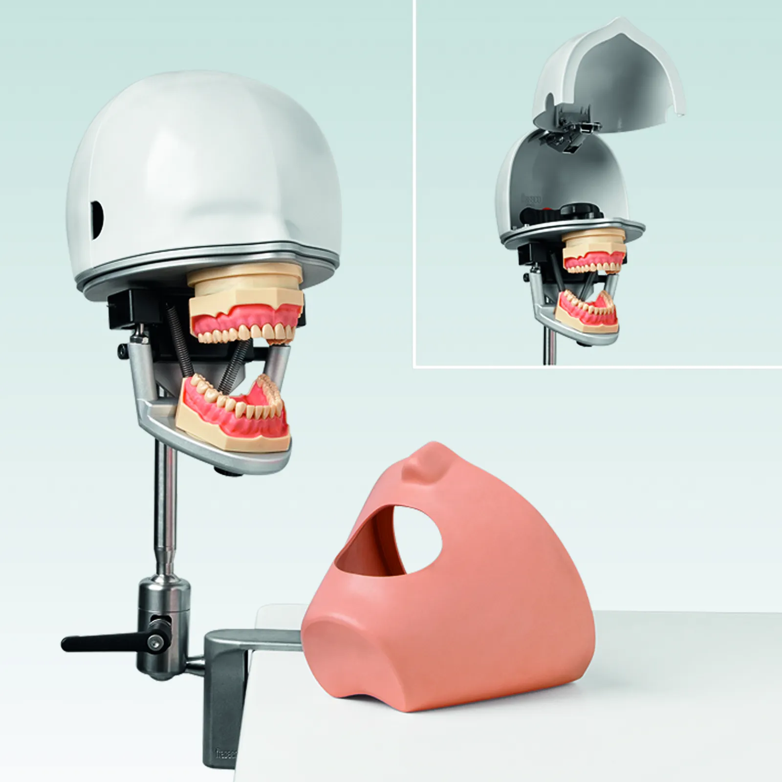 frasaco dental trainng system style PK-2 PT