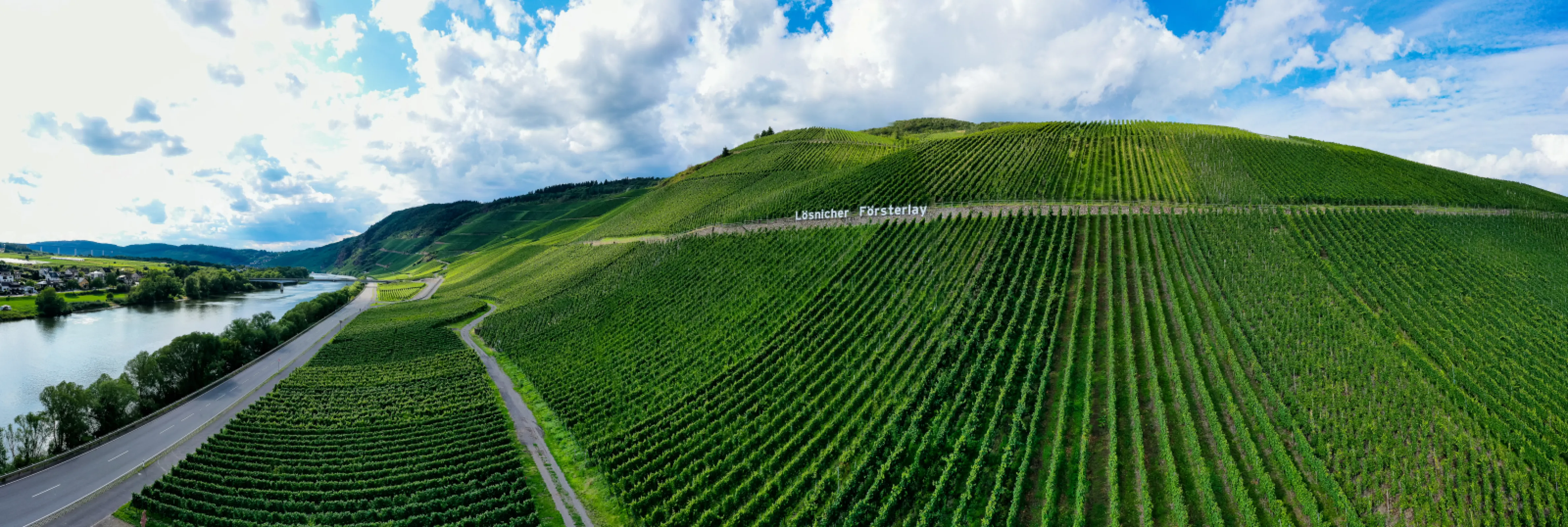 Lösnicher Försterlay