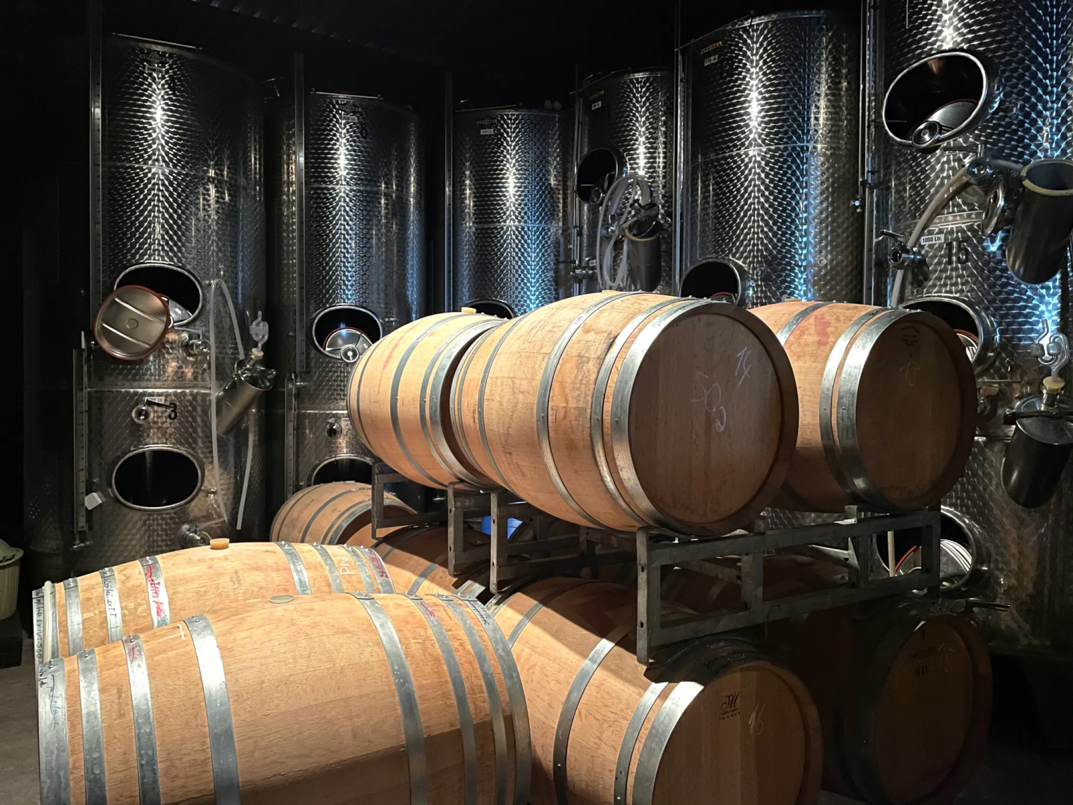 Barrels in our cellar