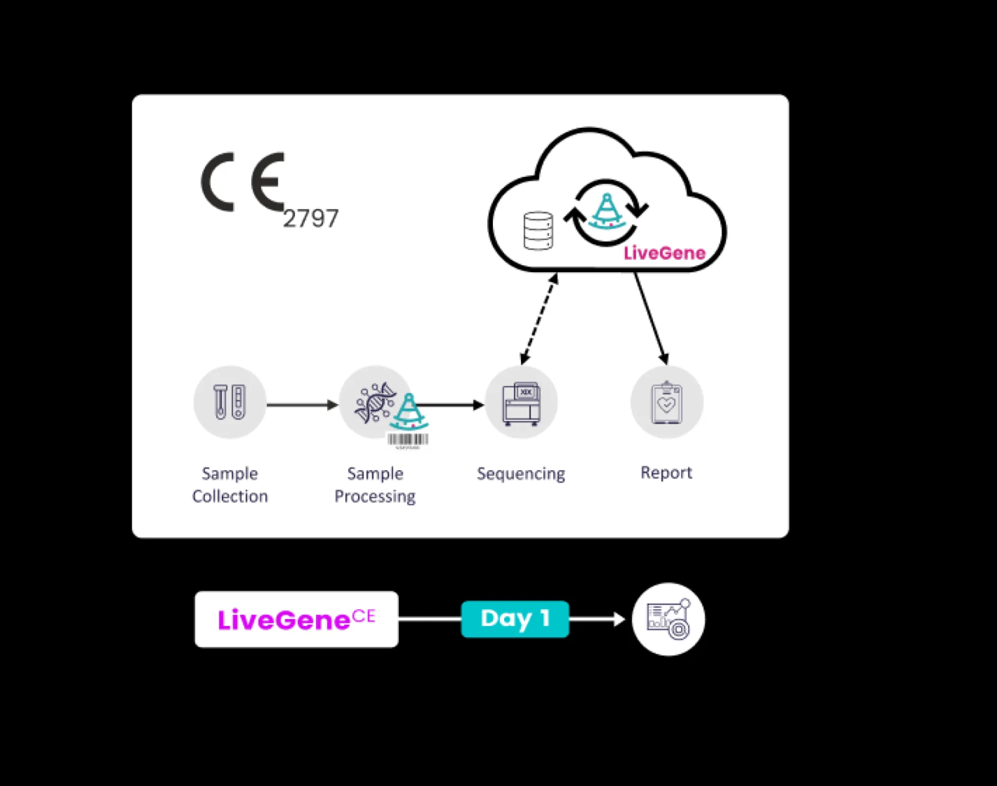 LiveGene Workflow