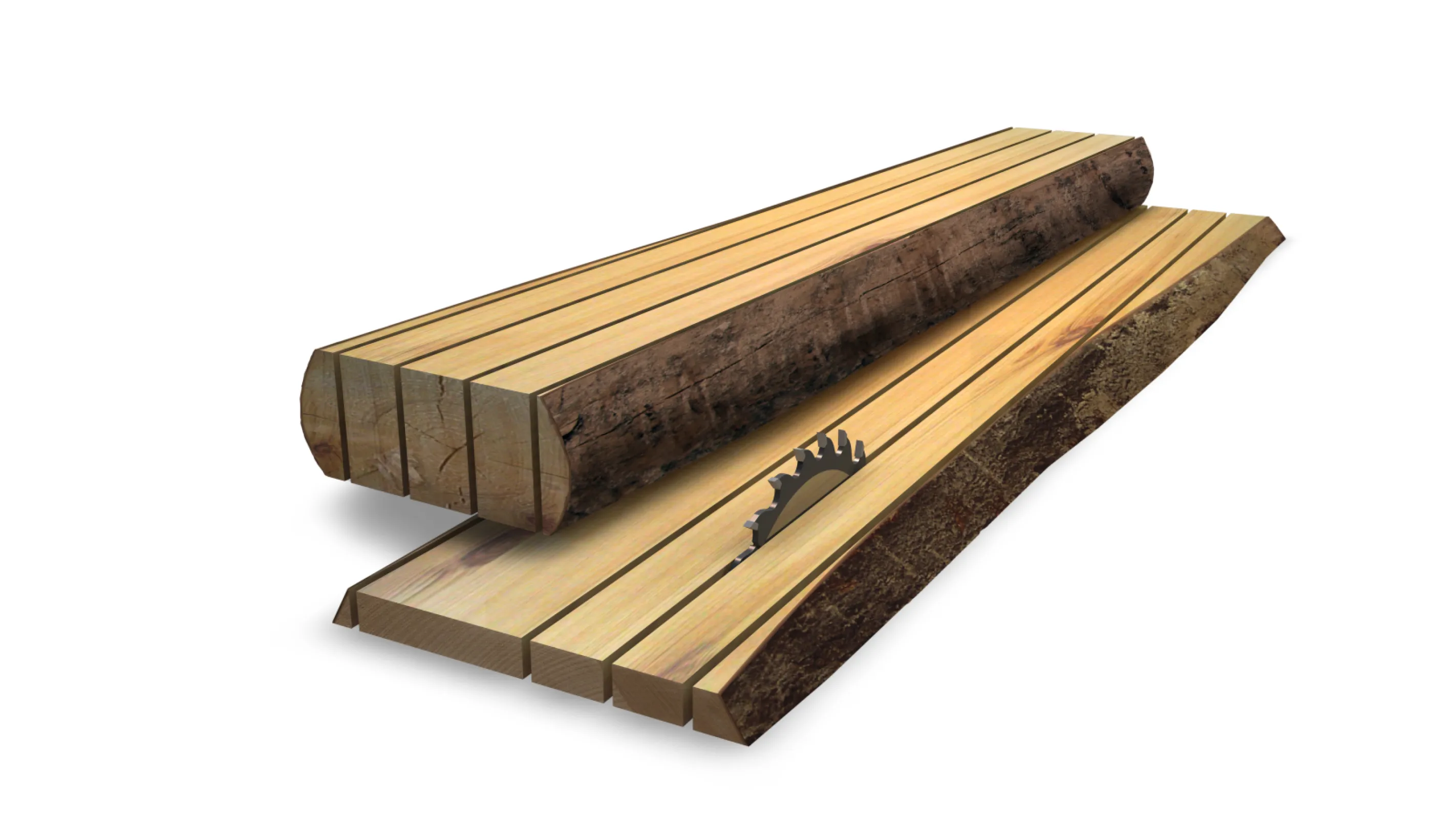 Edging and ripping of cants with a thickness up to 225 mm