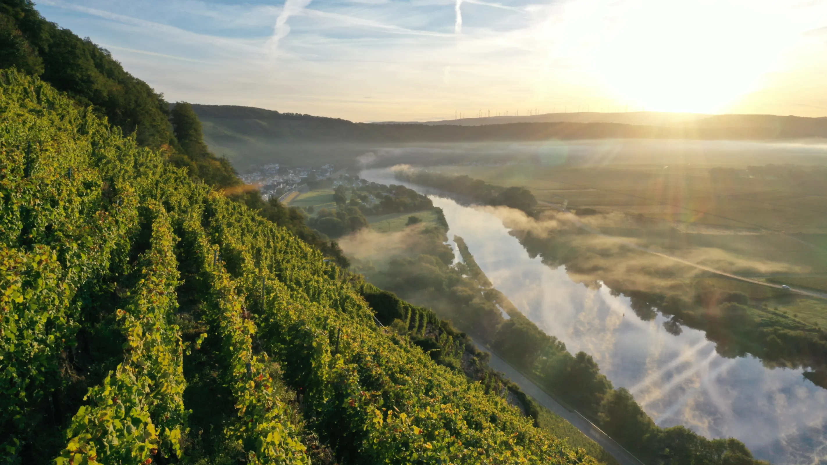 View on the Mosel valley from the vineyard site 'Thörnicher Ritsch'