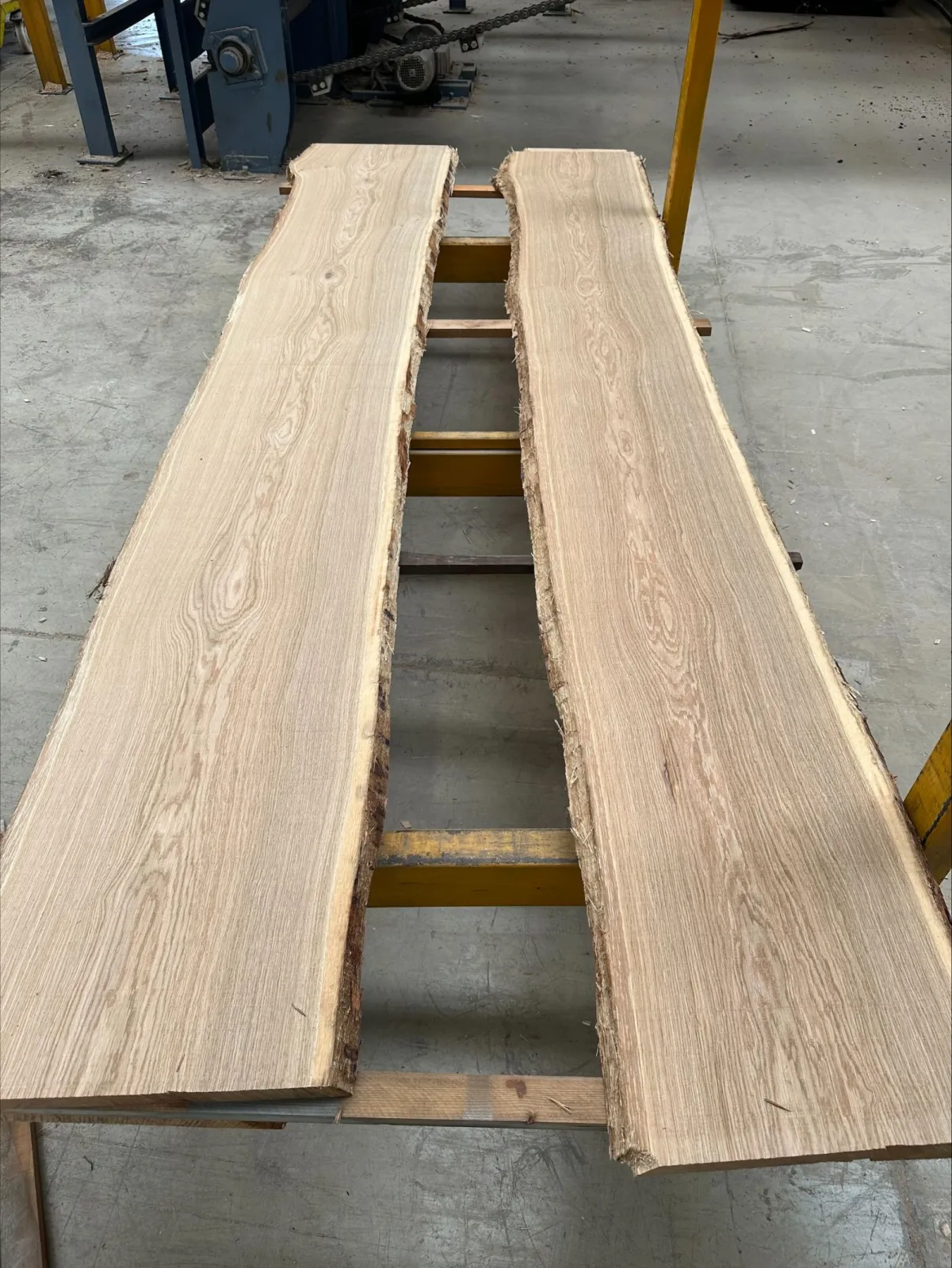 White oak top Quality AAS
